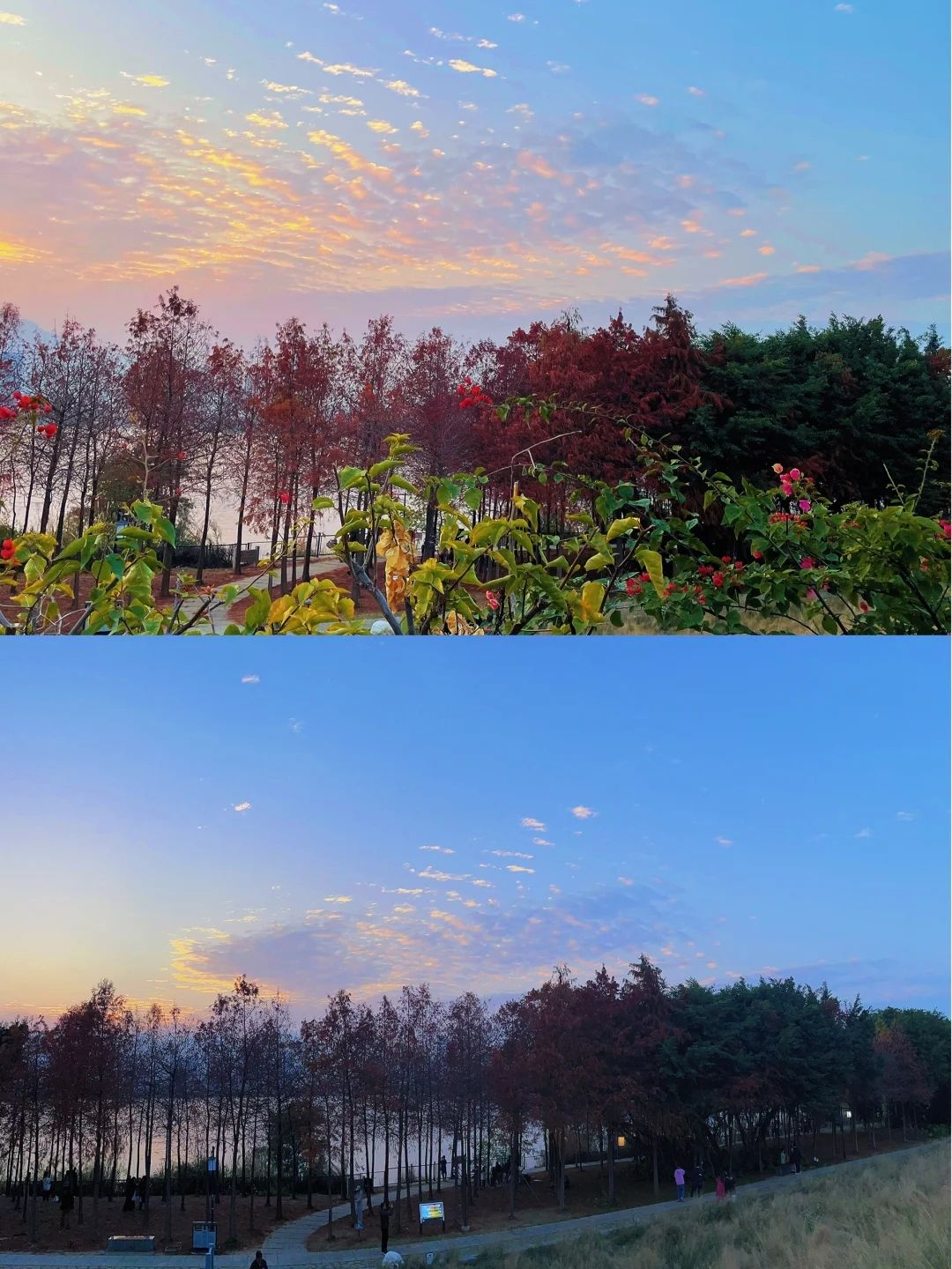 乌龙江湿地公园旅行图片 3