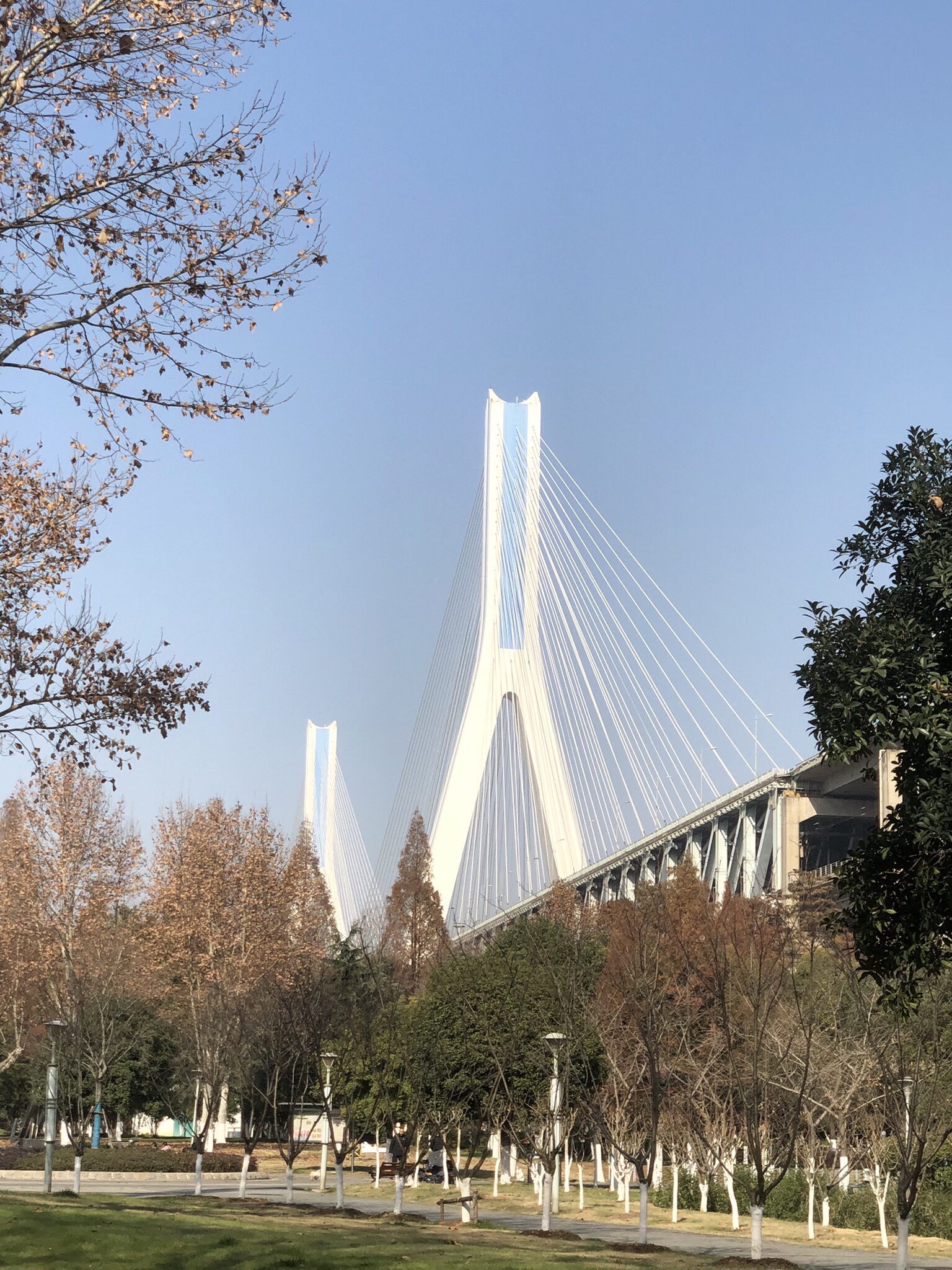 天兴洲大桥公园旅行图片 3