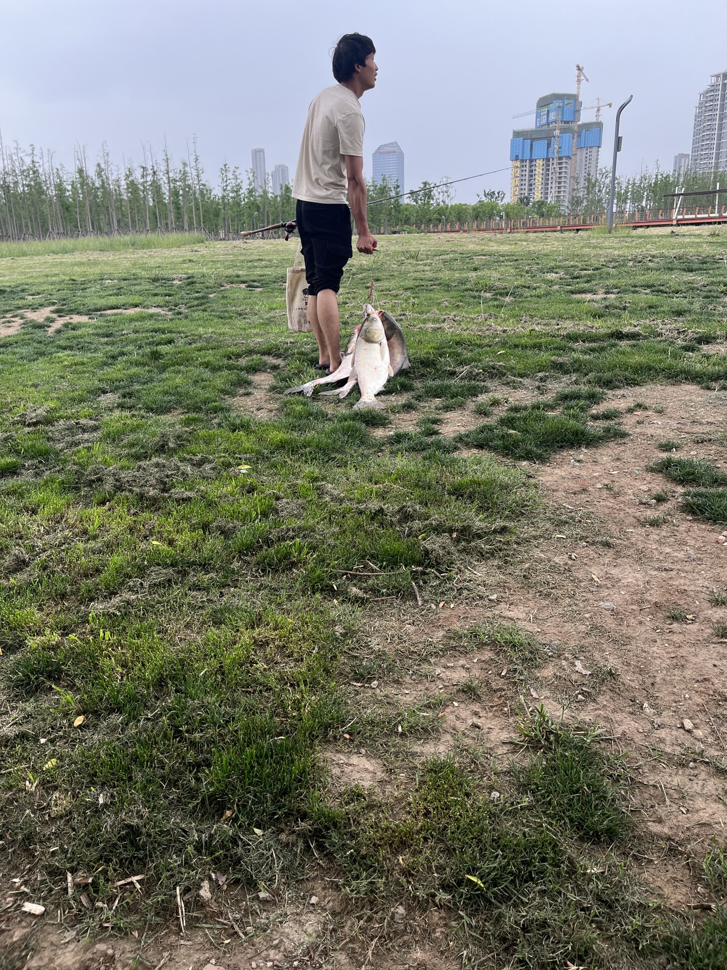 天兴洲大桥公园旅行图片 3