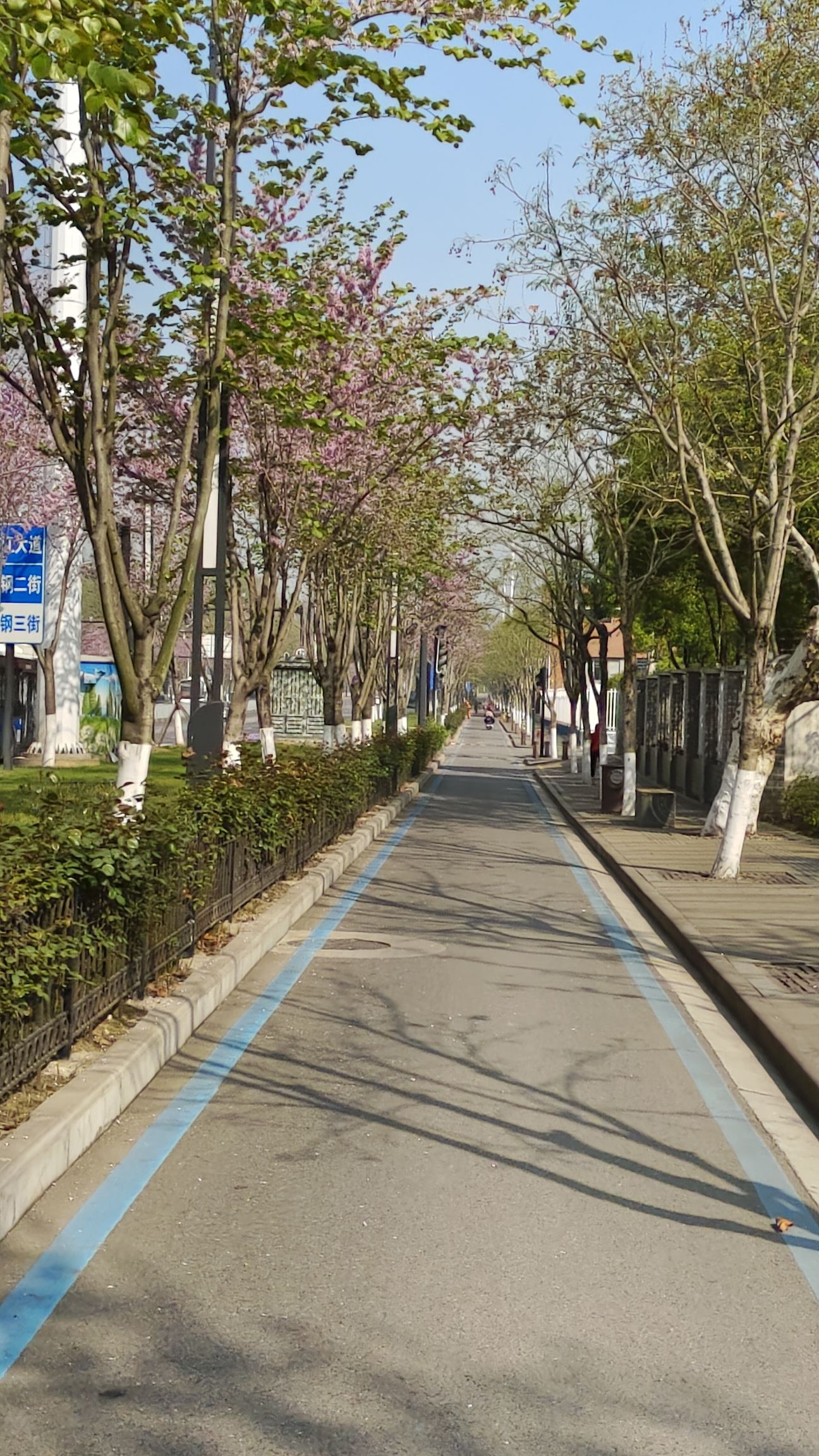 天兴洲大桥公园旅行图片 1