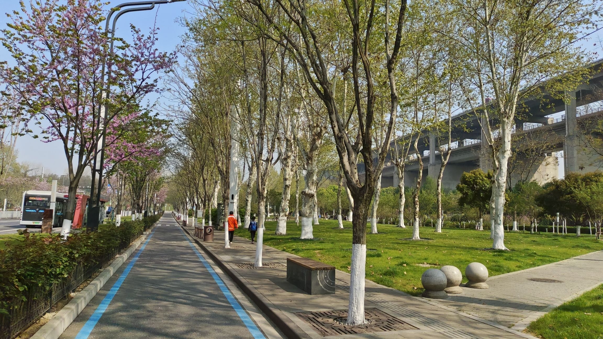 天兴洲大桥公园旅行图片 3