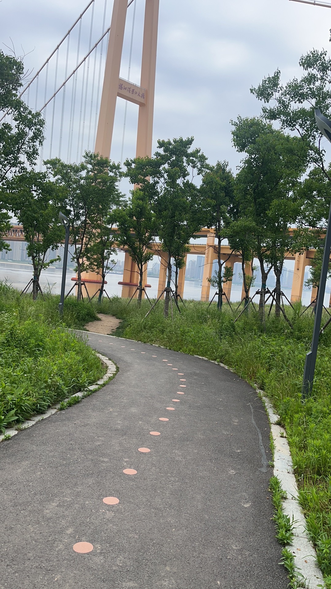 天兴洲大桥公园旅行图片 1