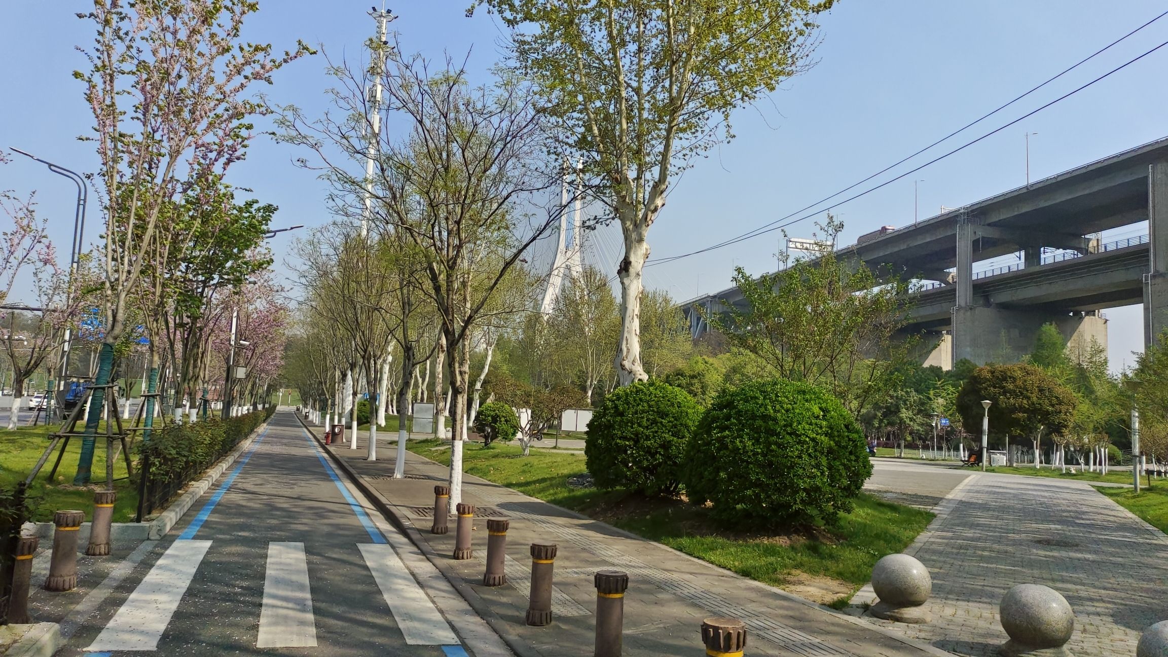 天兴洲大桥公园旅行图片 2