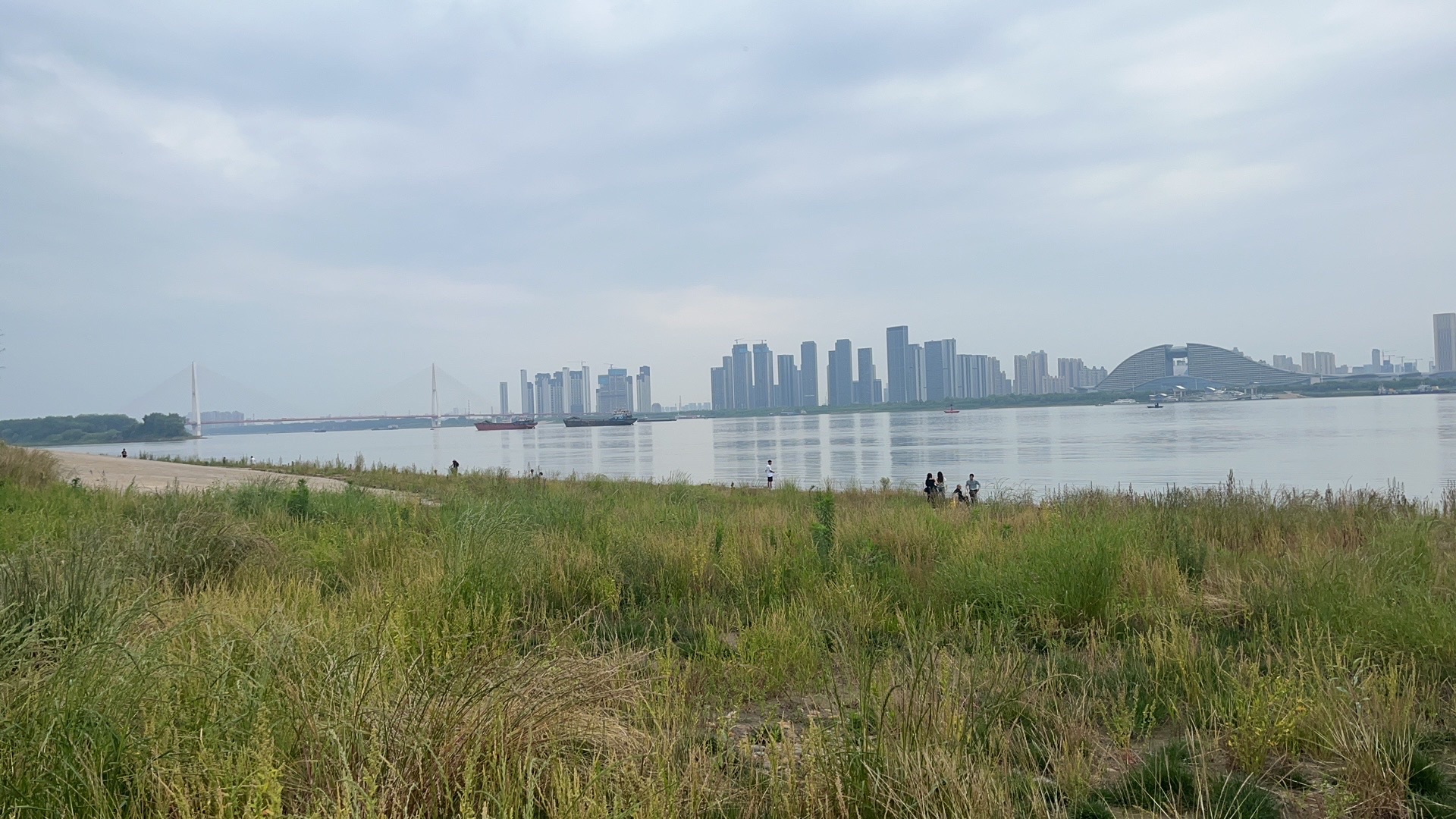 天兴洲大桥公园旅行图片 2