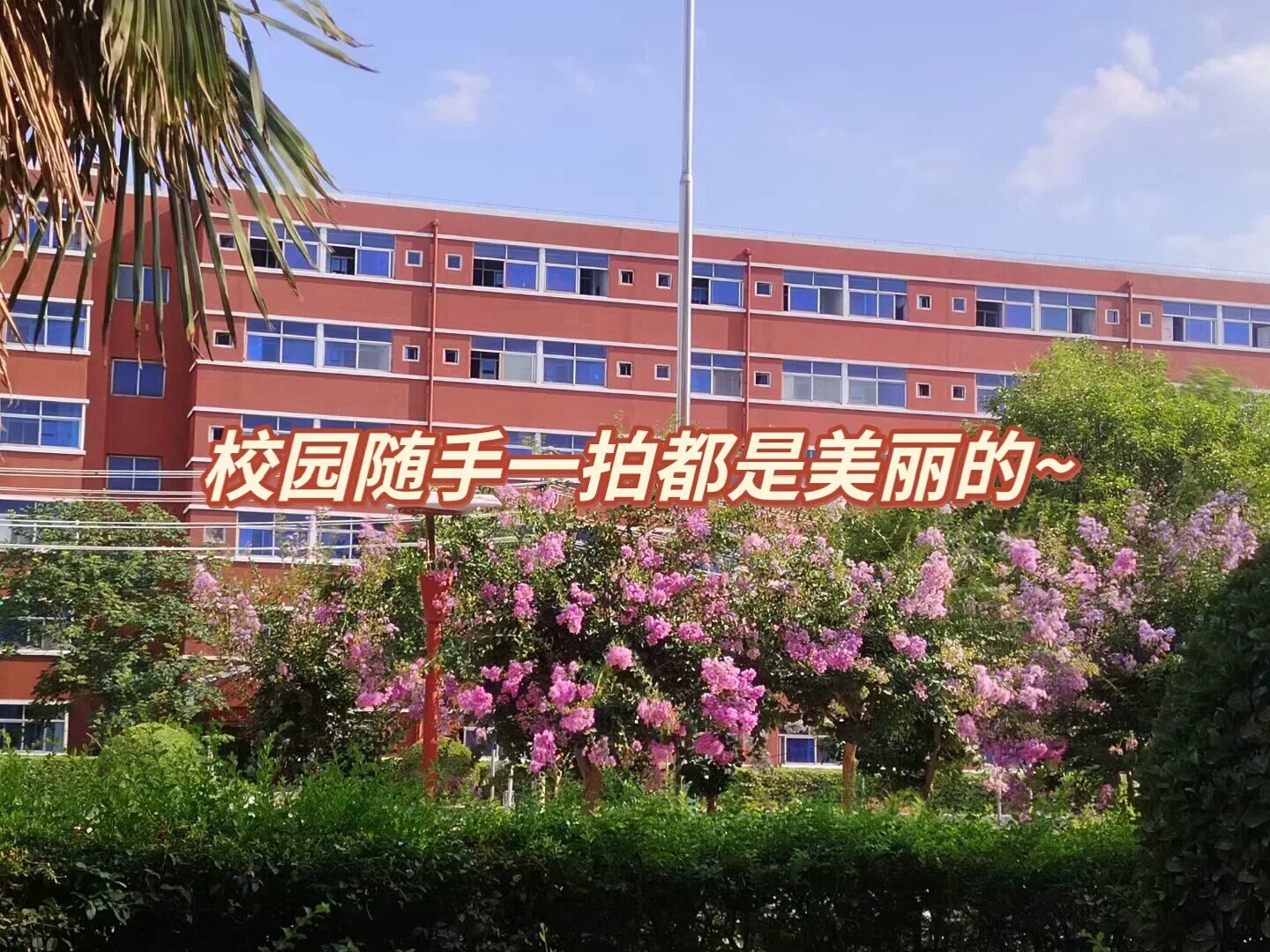 新乡市文理中等专业学校