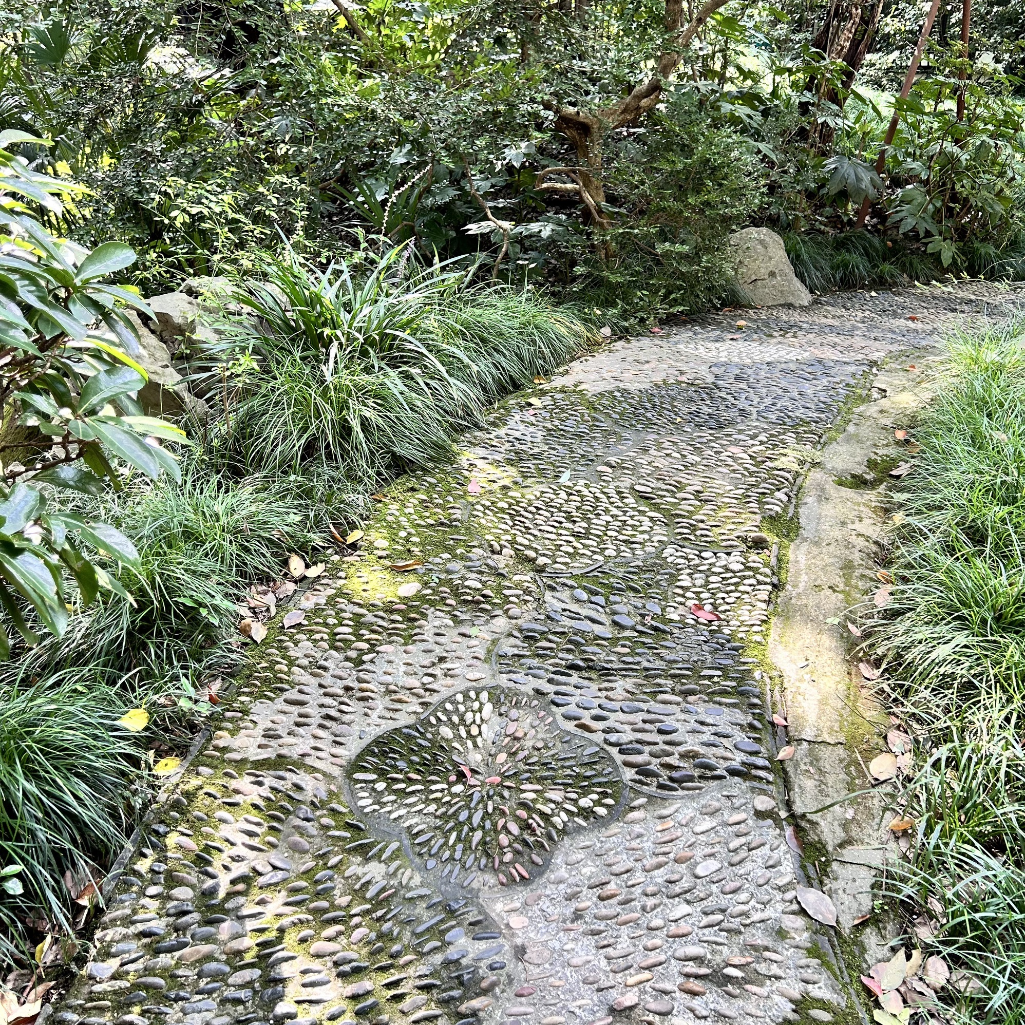 华山花园旅行图片 2