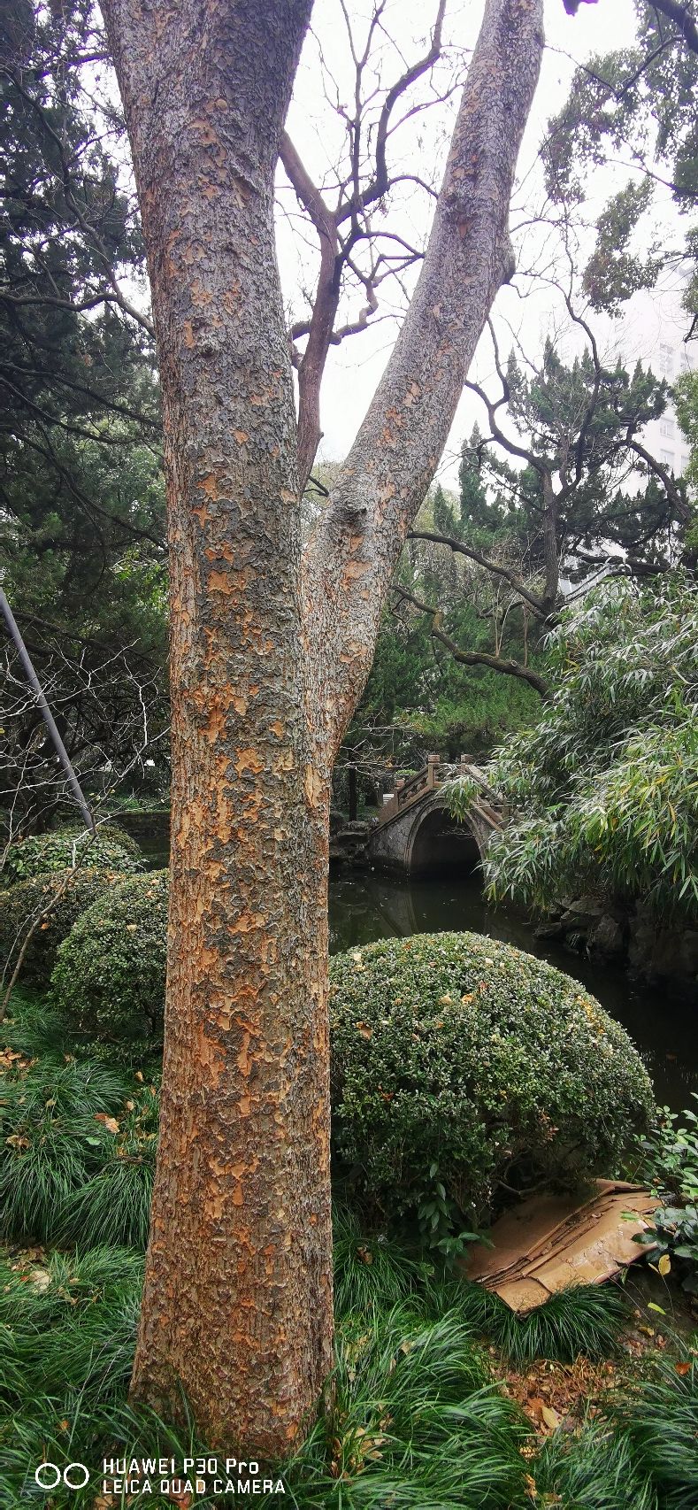 华山花园旅行图片 2