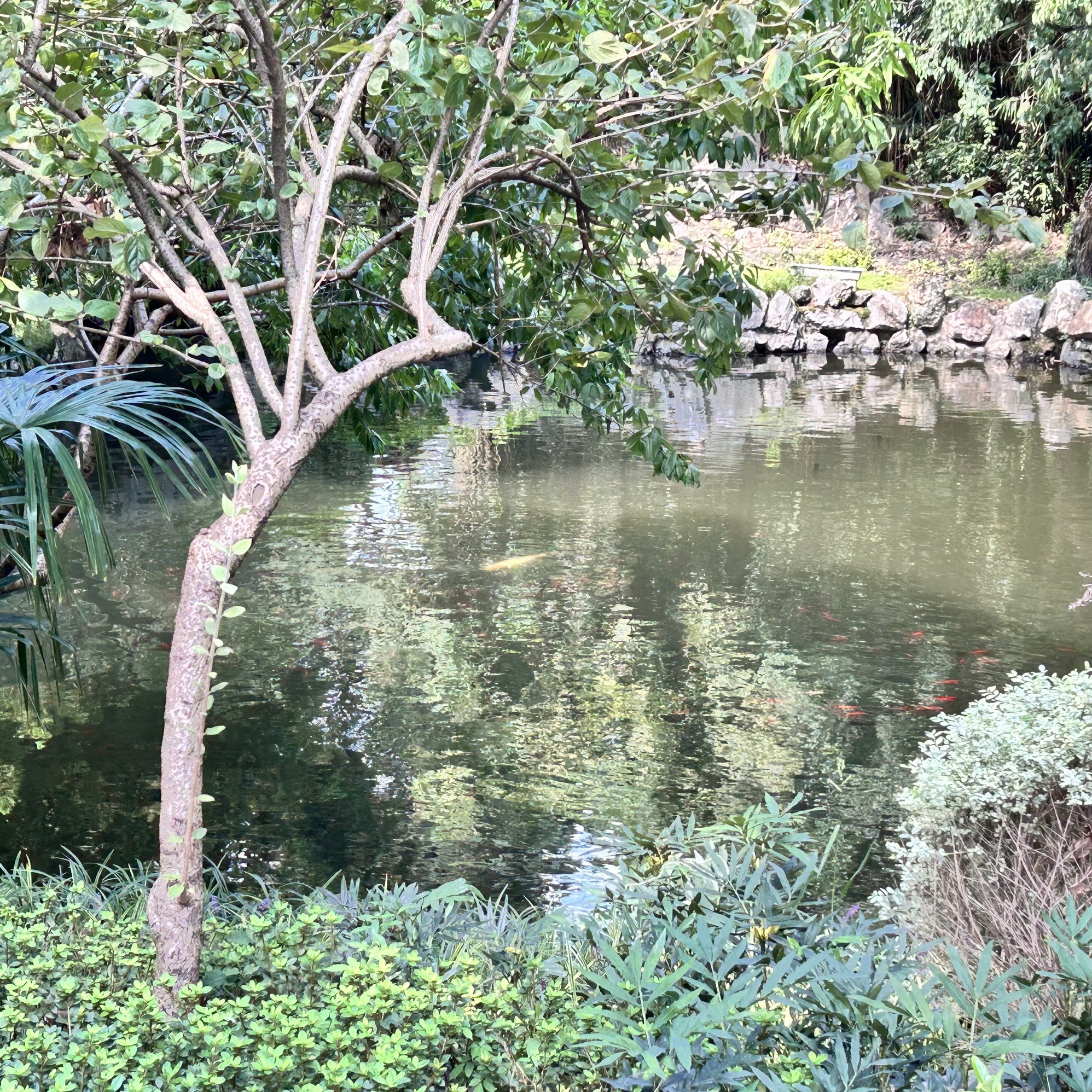 华山花园旅行图片 1