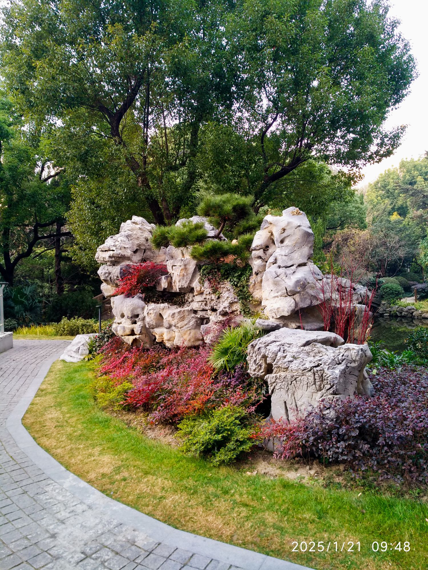 华山花园旅行图片 2