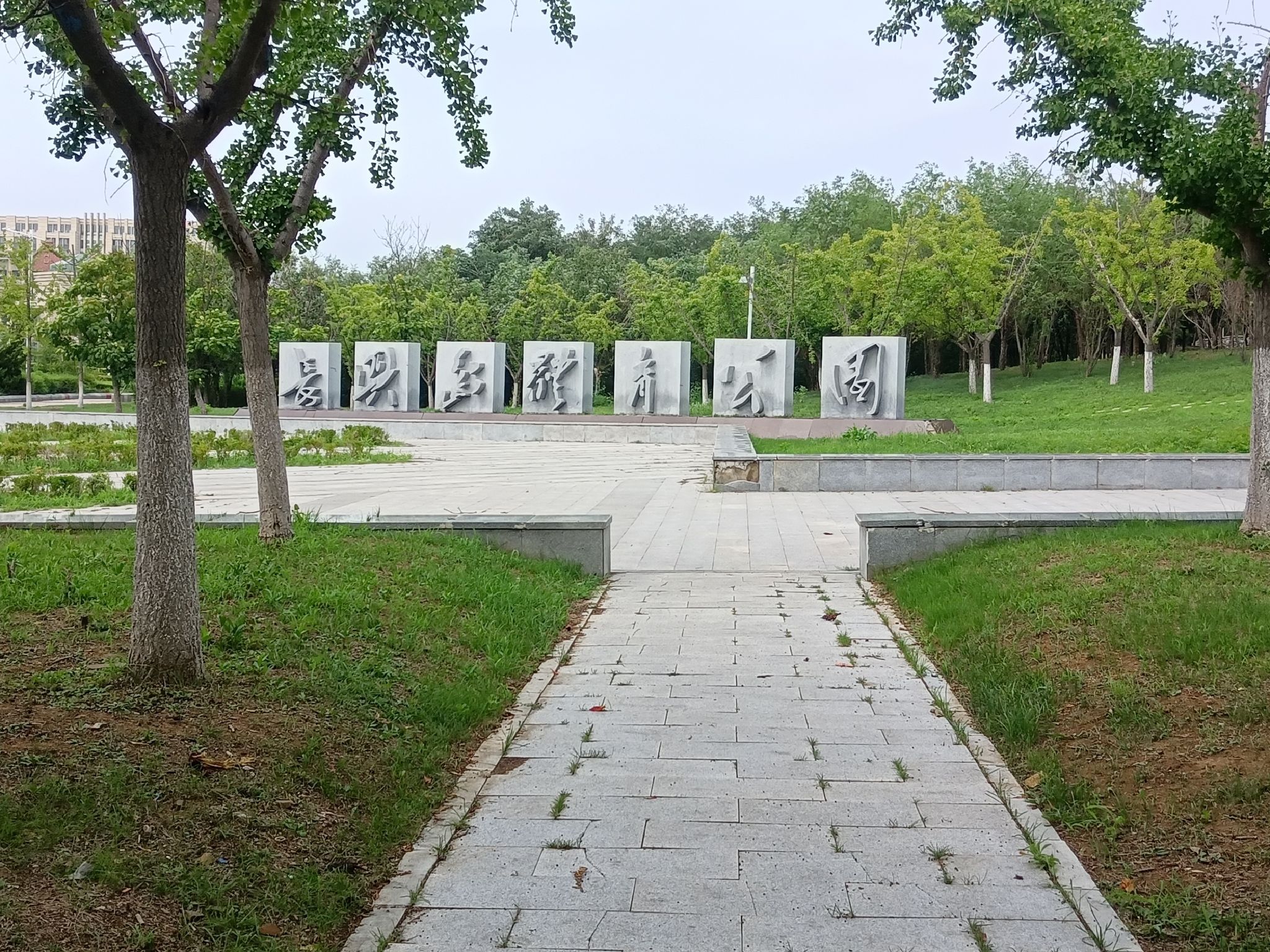 长兴岛体育公园旅行图片 1