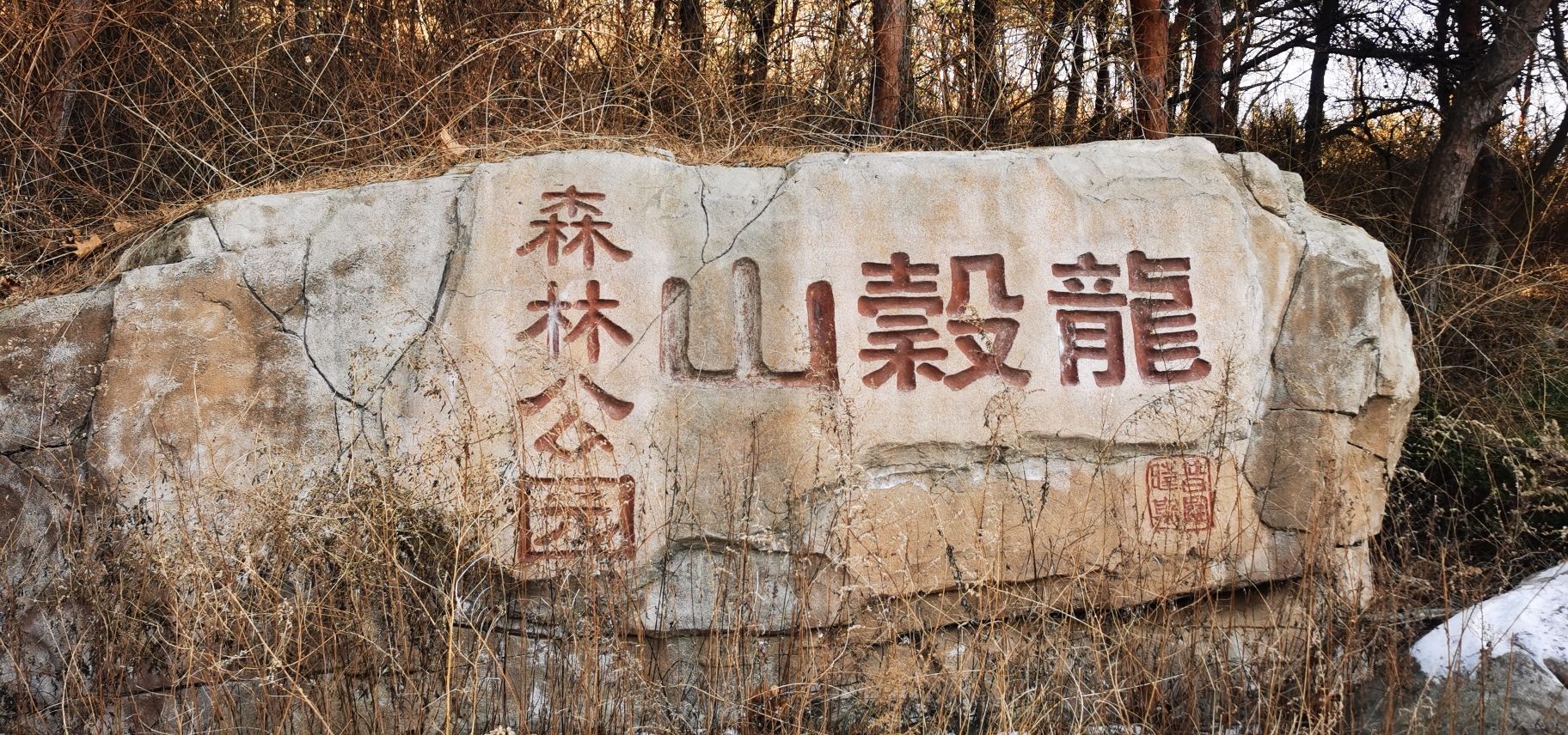 龙谷山森林公园旅行图片 1