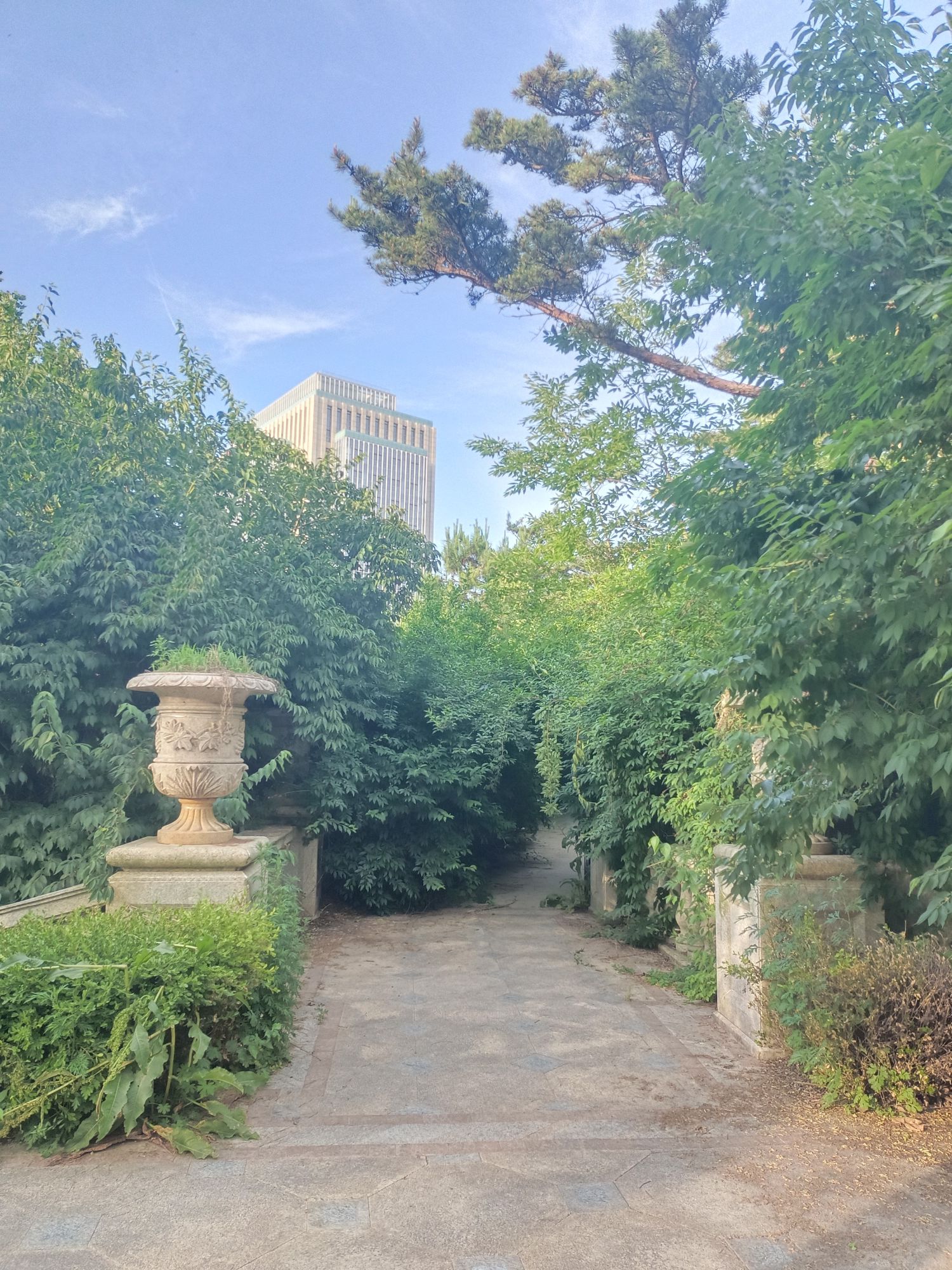 龙谷山森林公园旅行图片 3