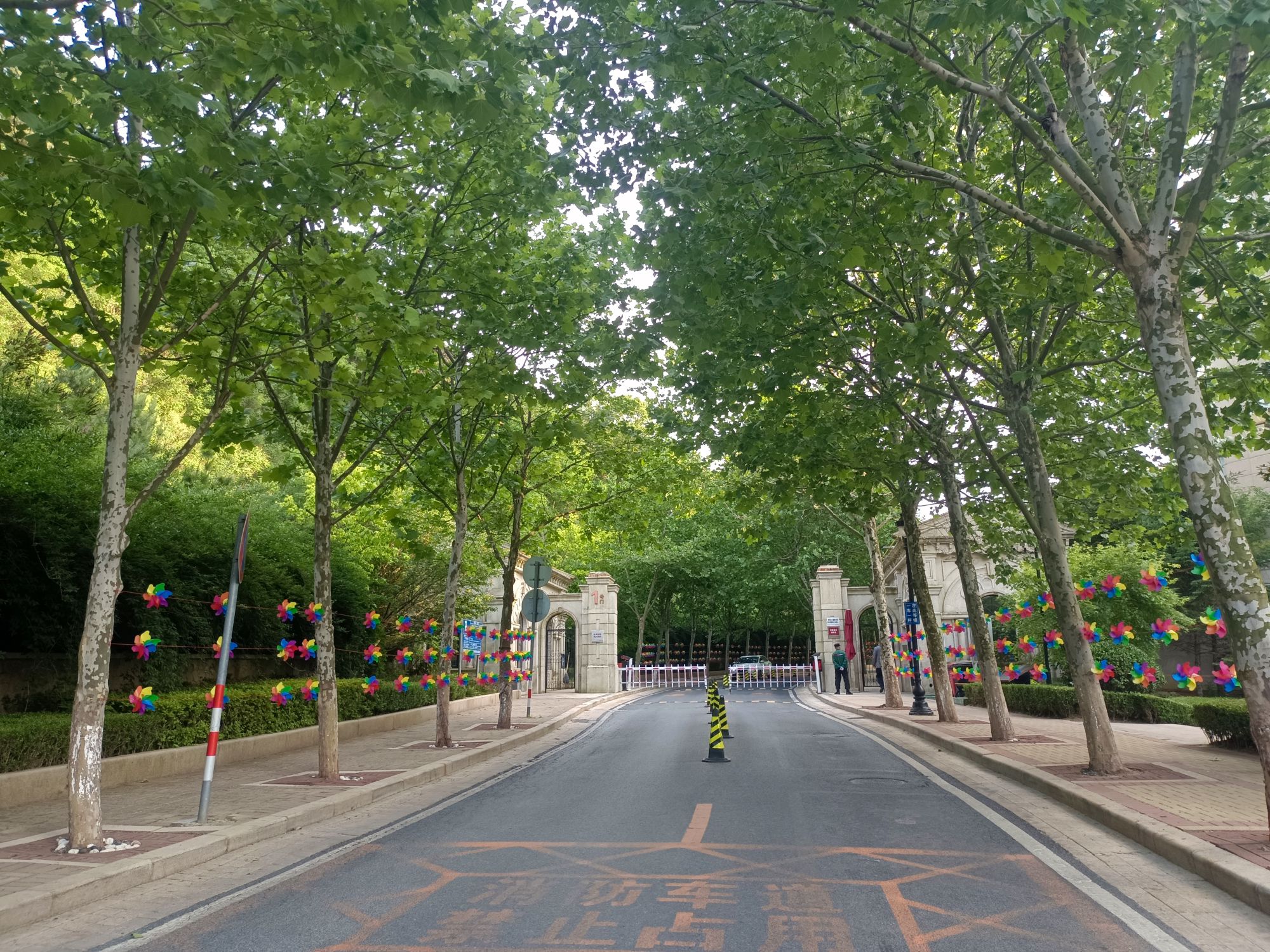 龙谷山森林公园旅行图片 1