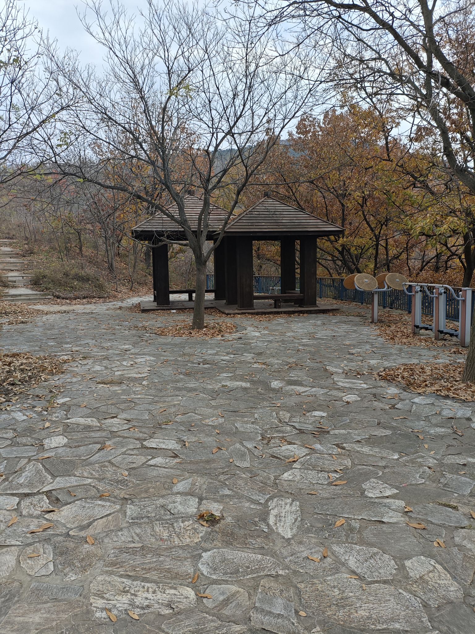 龙谷山森林公园旅行图片 3