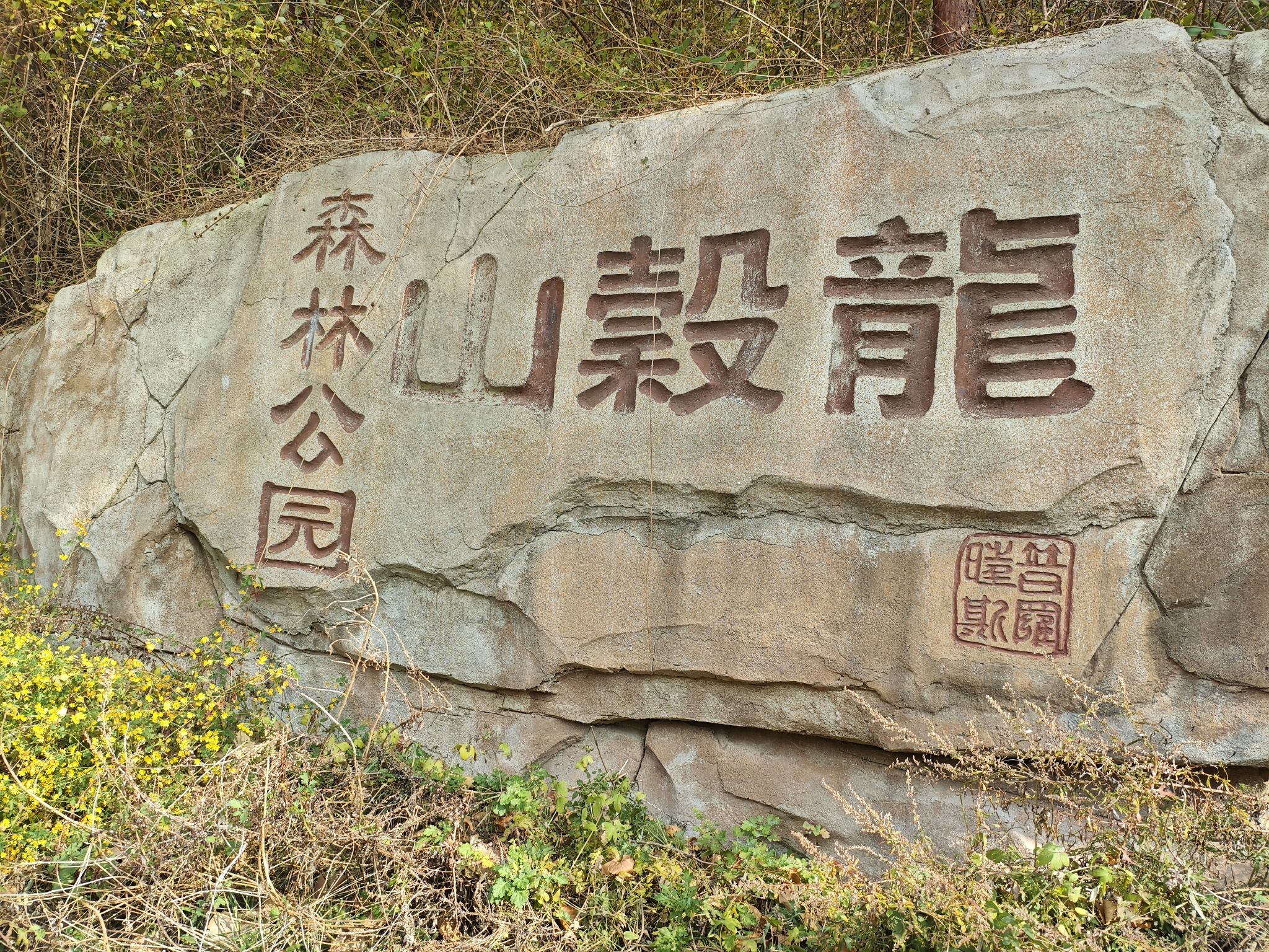 龙谷山森林公园旅行图片 1