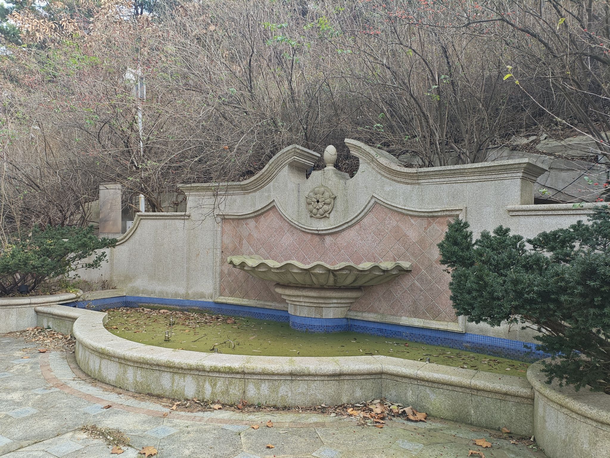 龙谷山森林公园旅行图片 2