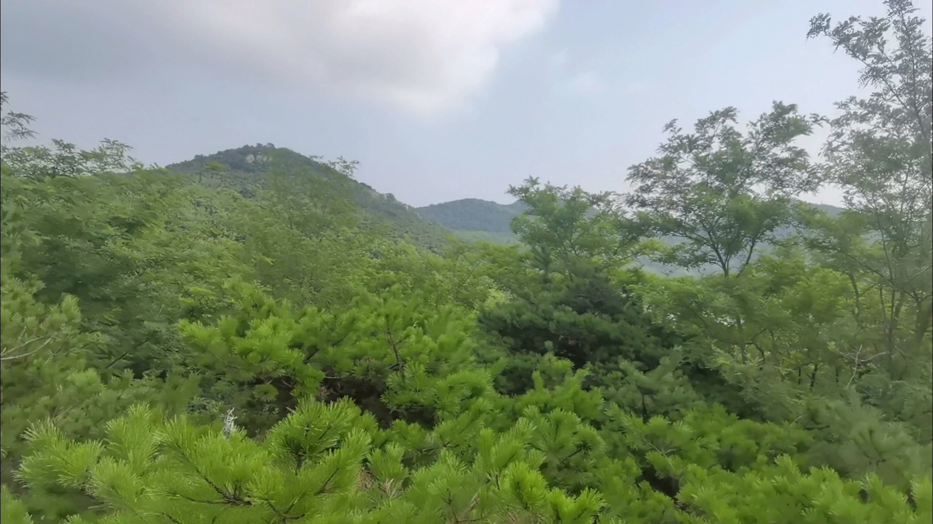 龙谷山森林公园旅行图片 3