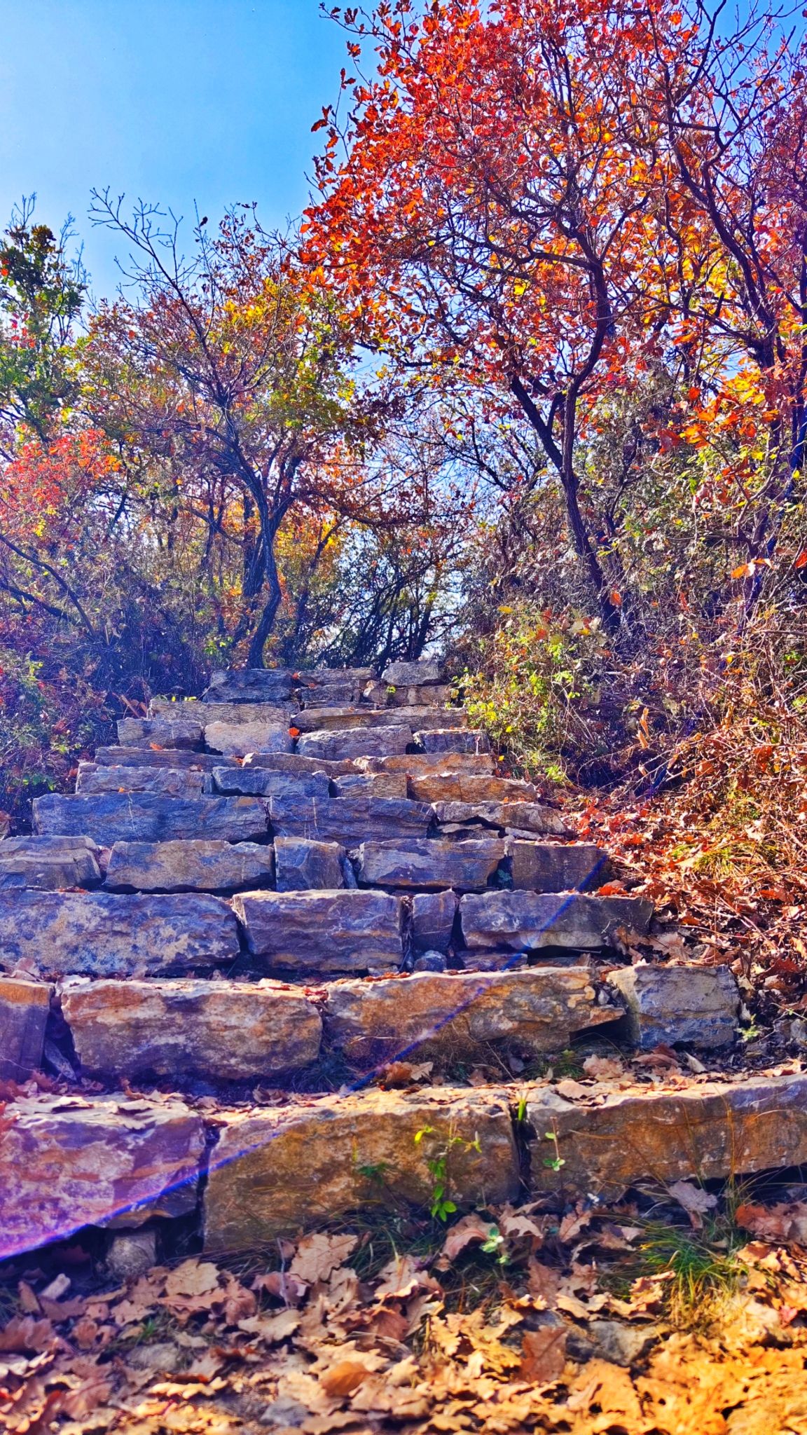 黎城县四方山景区旅行图片 1