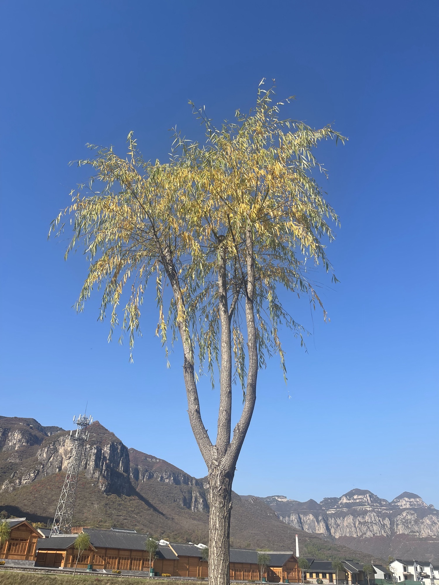 黎城县四方山景区旅行图片 3