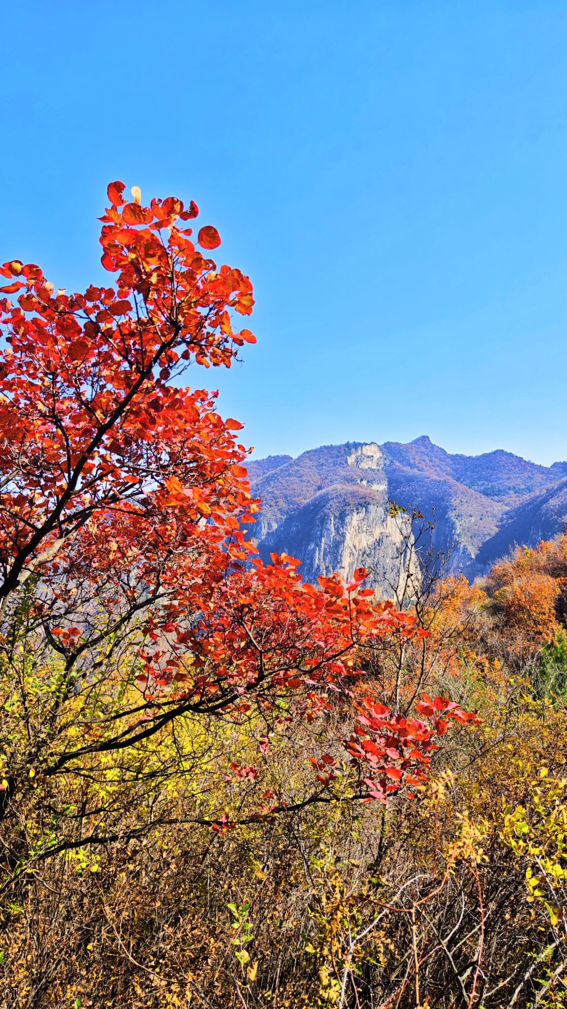 黎城县四方山景区旅行图片 2