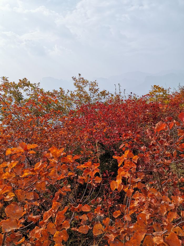 黎城县四方山景区旅行图片 3