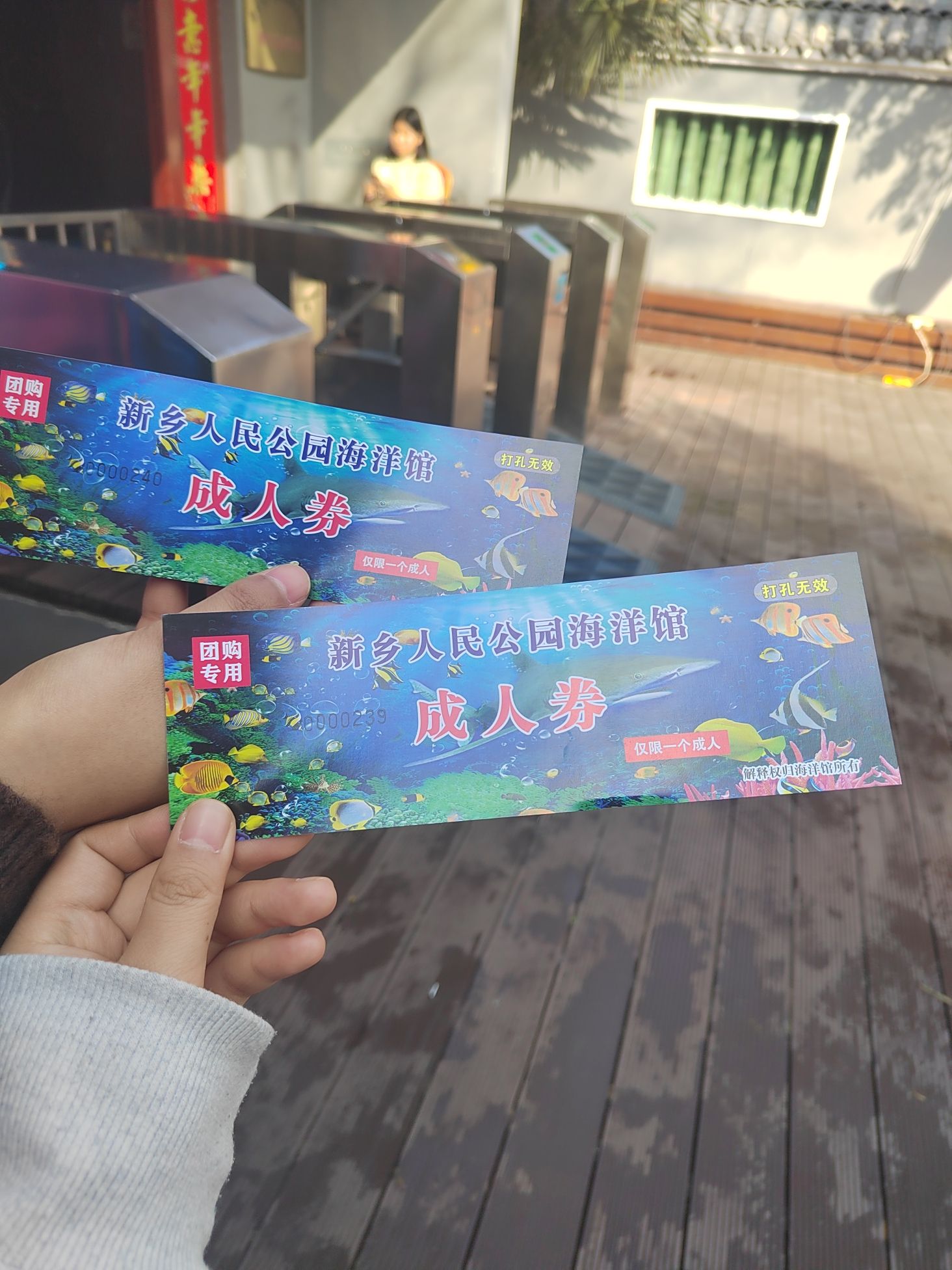 新乡海洋馆旅行图片 3