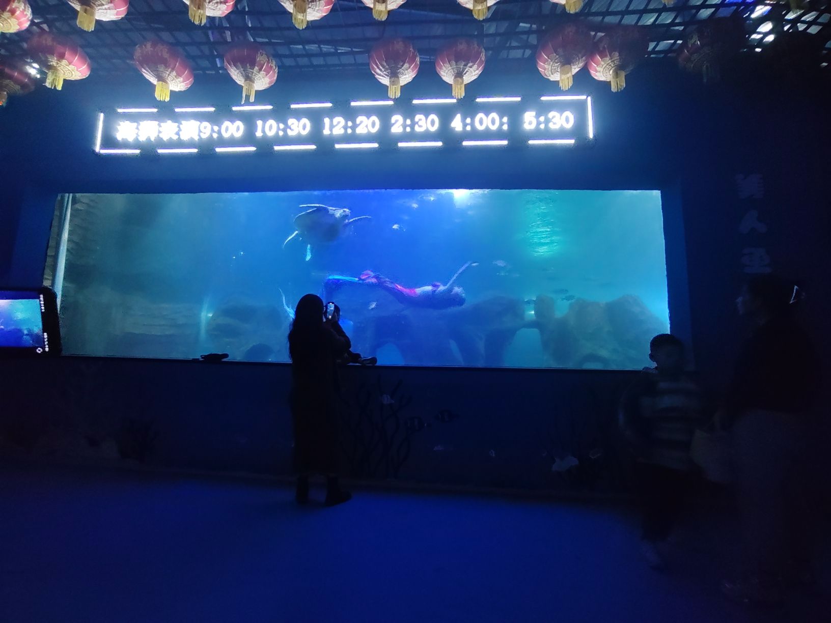 新乡海洋馆旅行图片 2