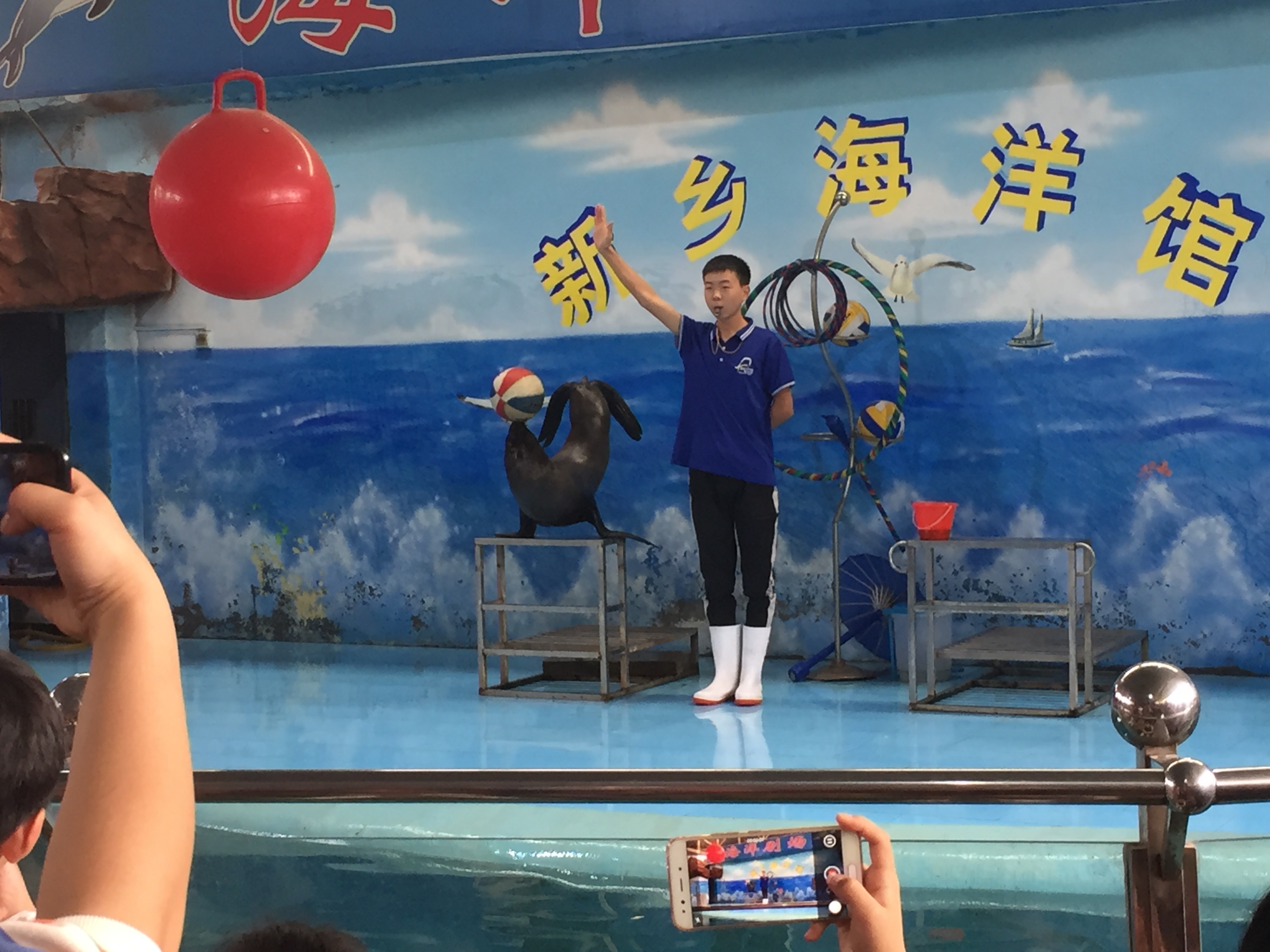 新乡海洋馆旅行图片 3