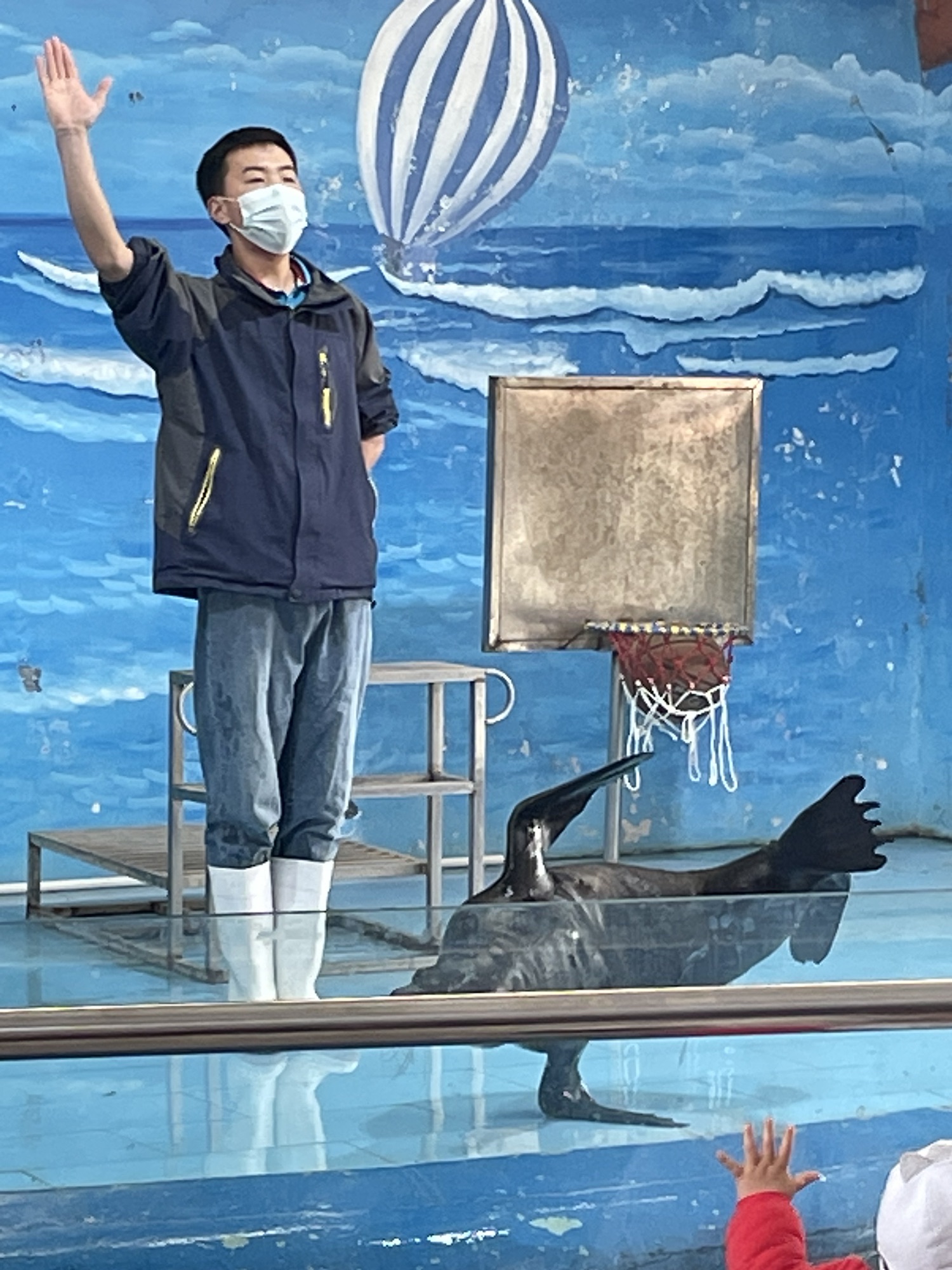 新乡海洋馆旅行图片 1