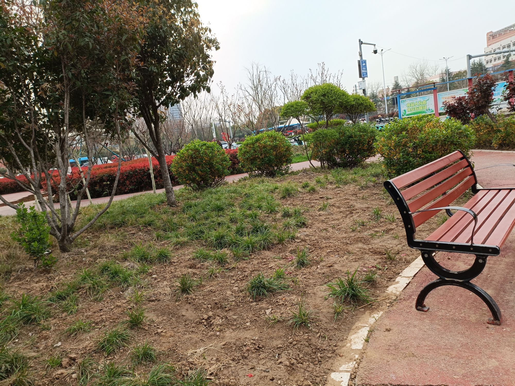 卧龙苑旅行图片 3