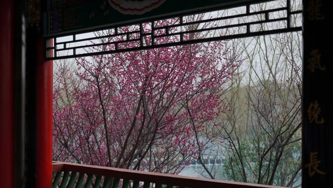 梅城公园旅行图片 3