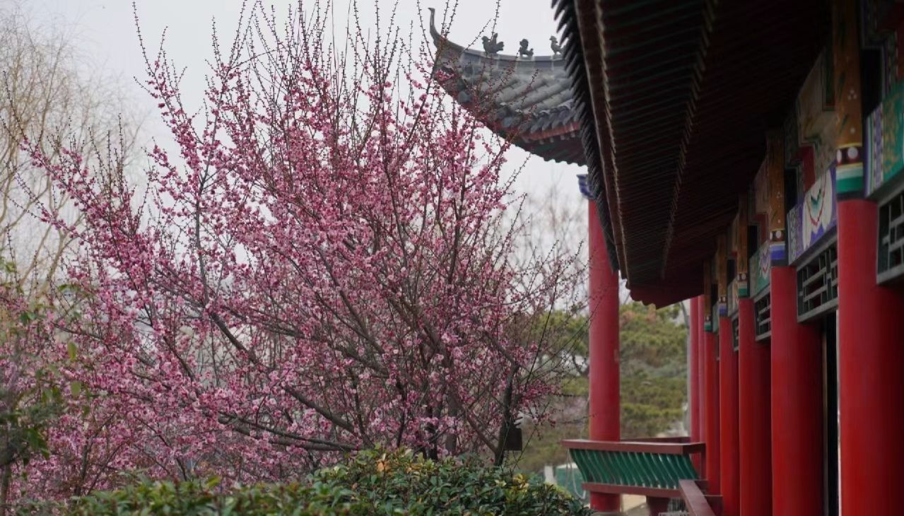 梅城公园旅行图片 2