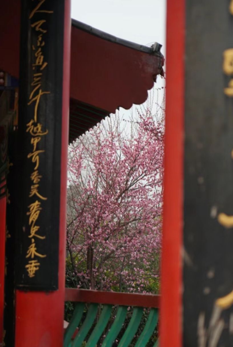 梅城公园旅行图片 1