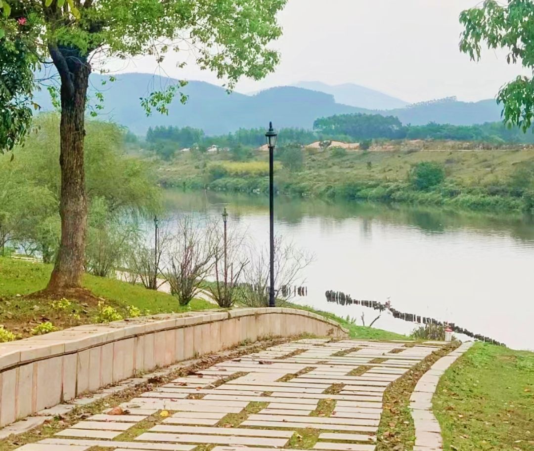 漳浦·鹿溪公园旅行图片 2