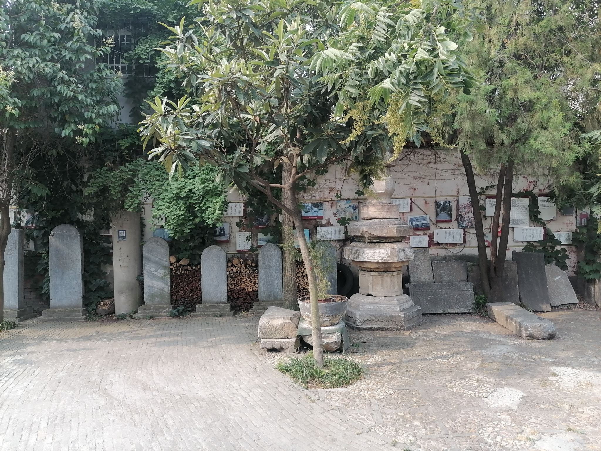 南阳王府山旅行图片 3