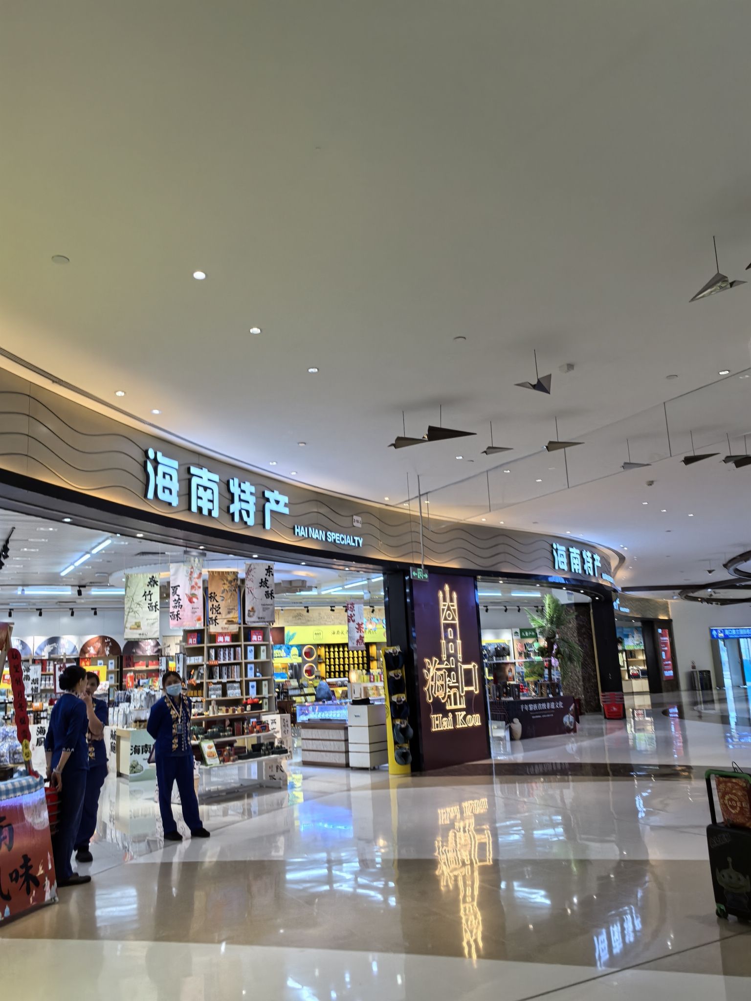 海南特产(海口美兰机场店)