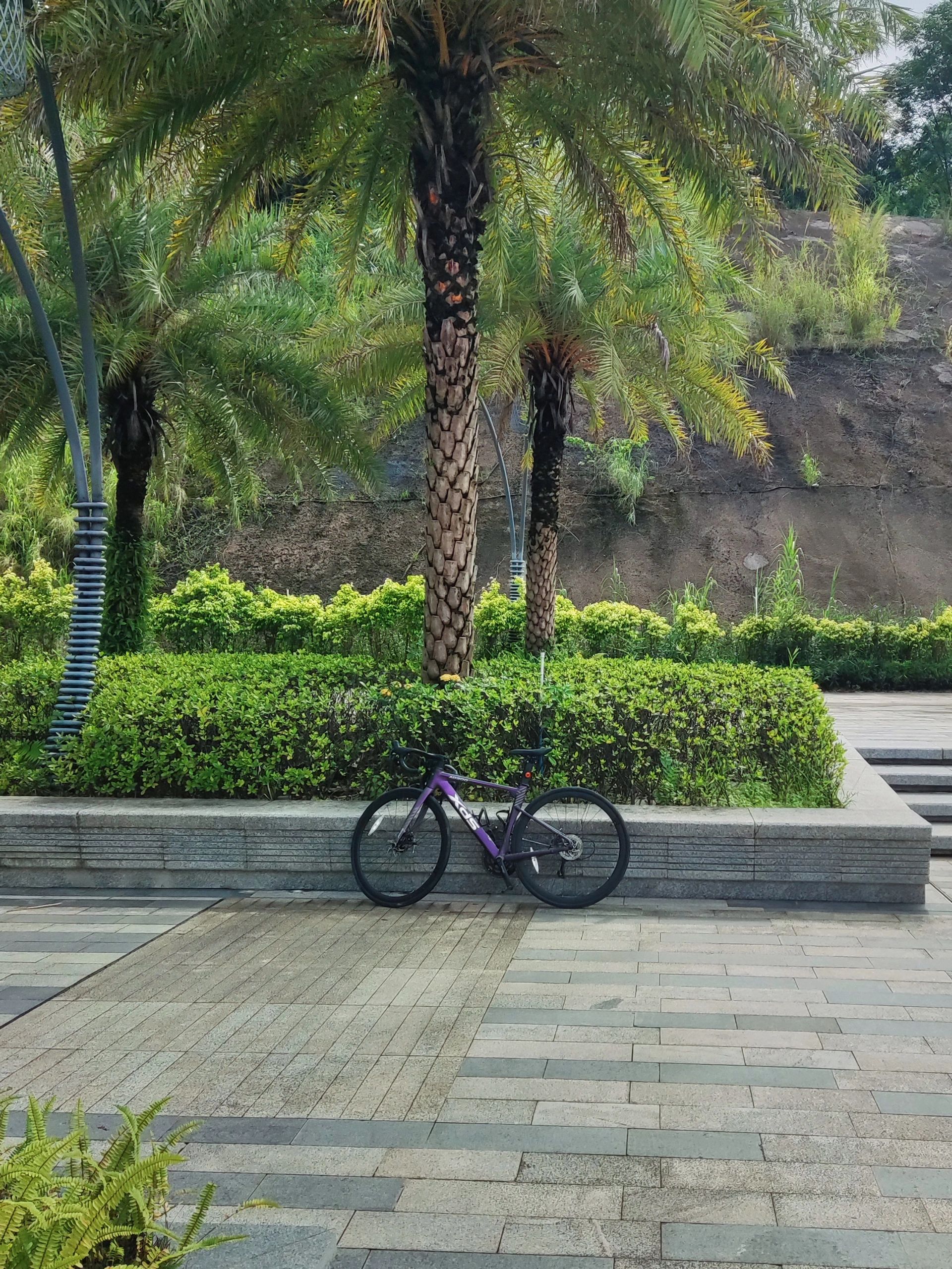 博爱湖旅行图片 3