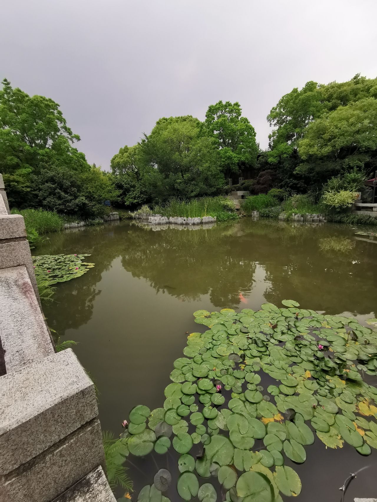亩中山水园旅行图片 3