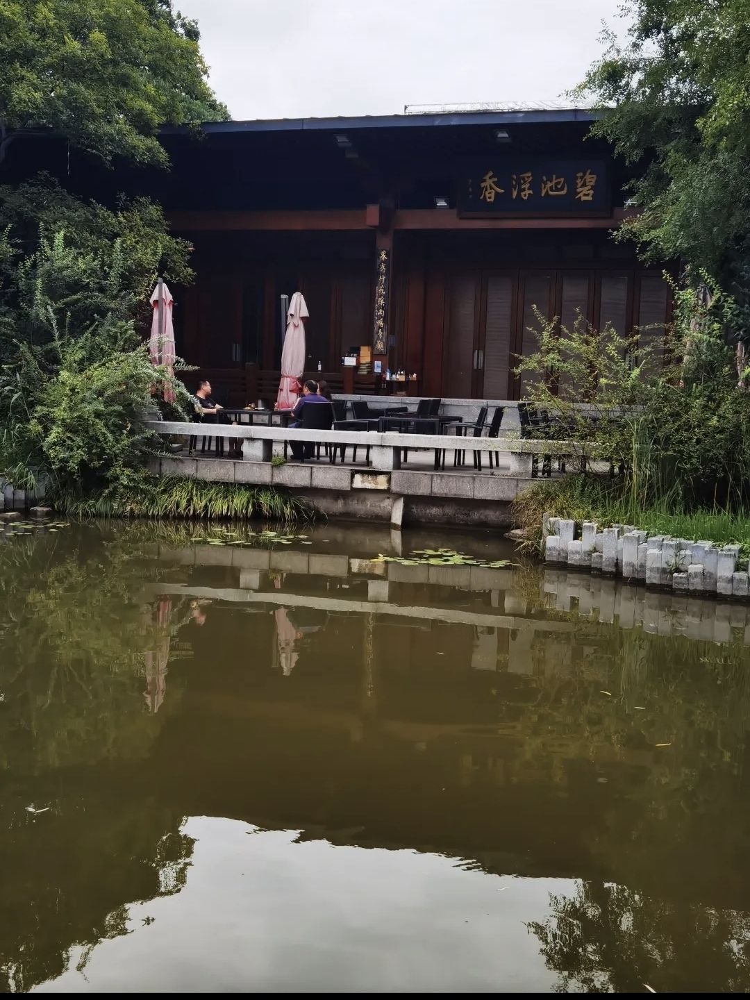 亩中山水园旅行图片 3