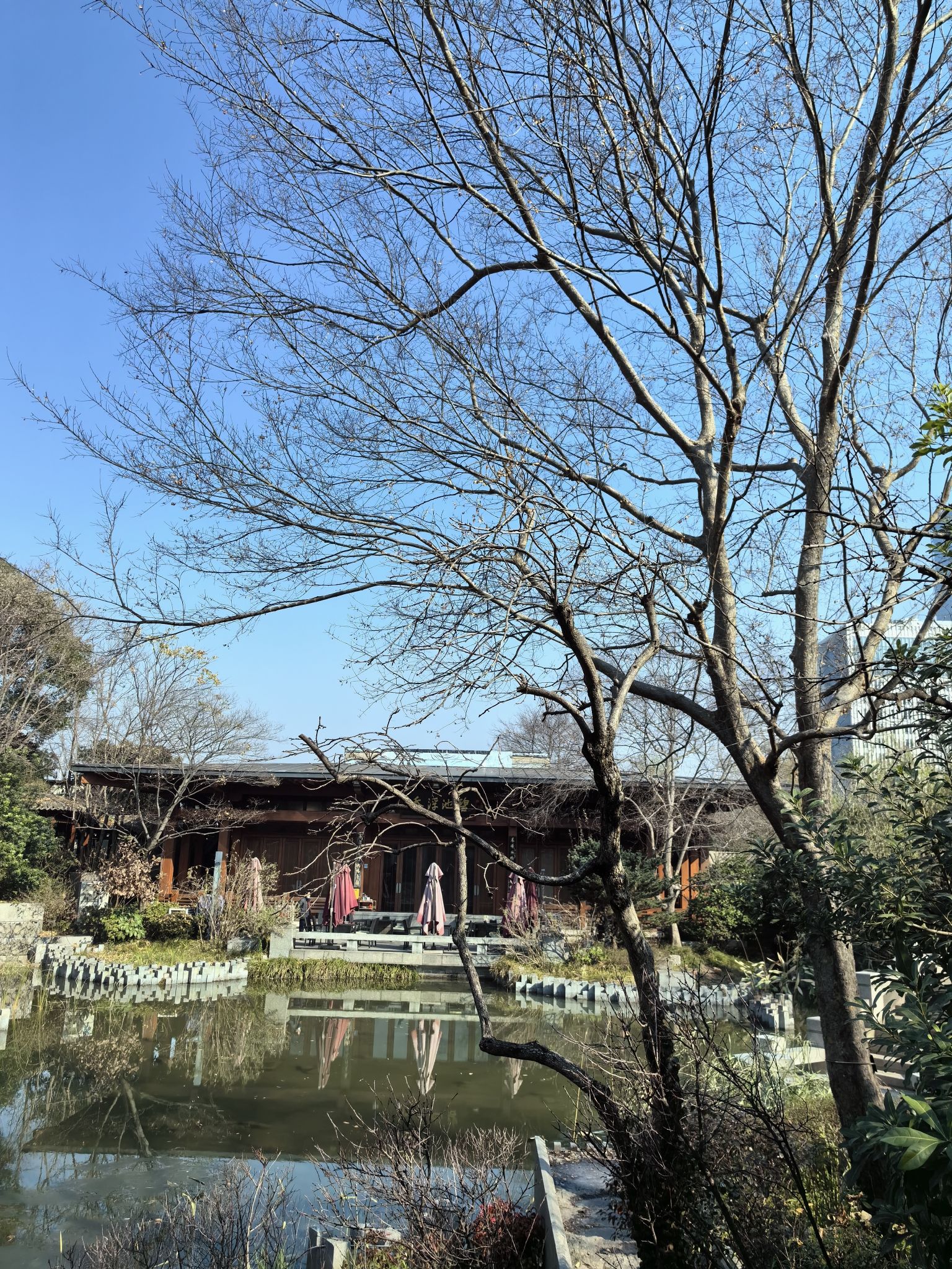 亩中山水园旅行图片 2