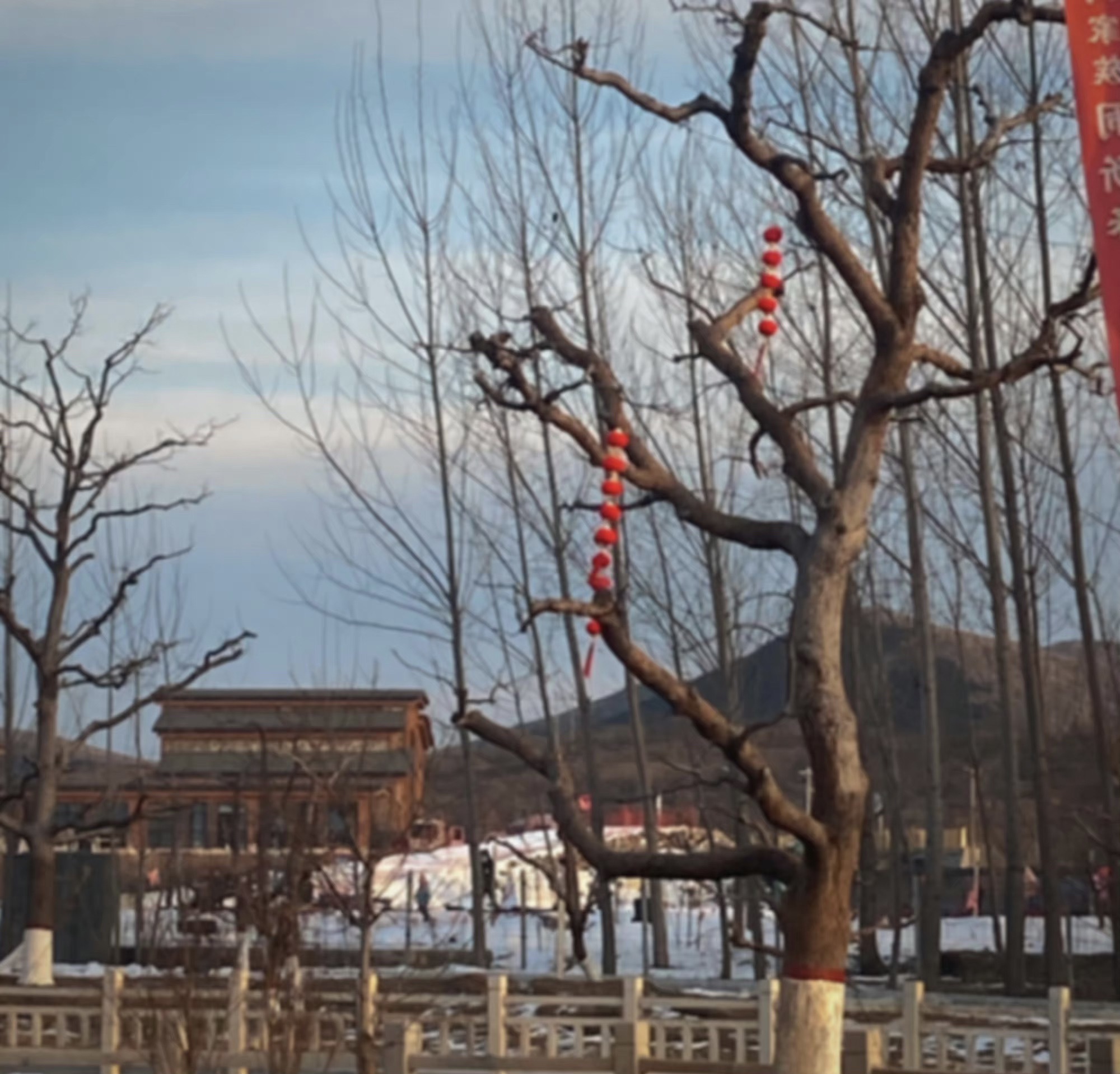 梦境庄园旅行图片 2