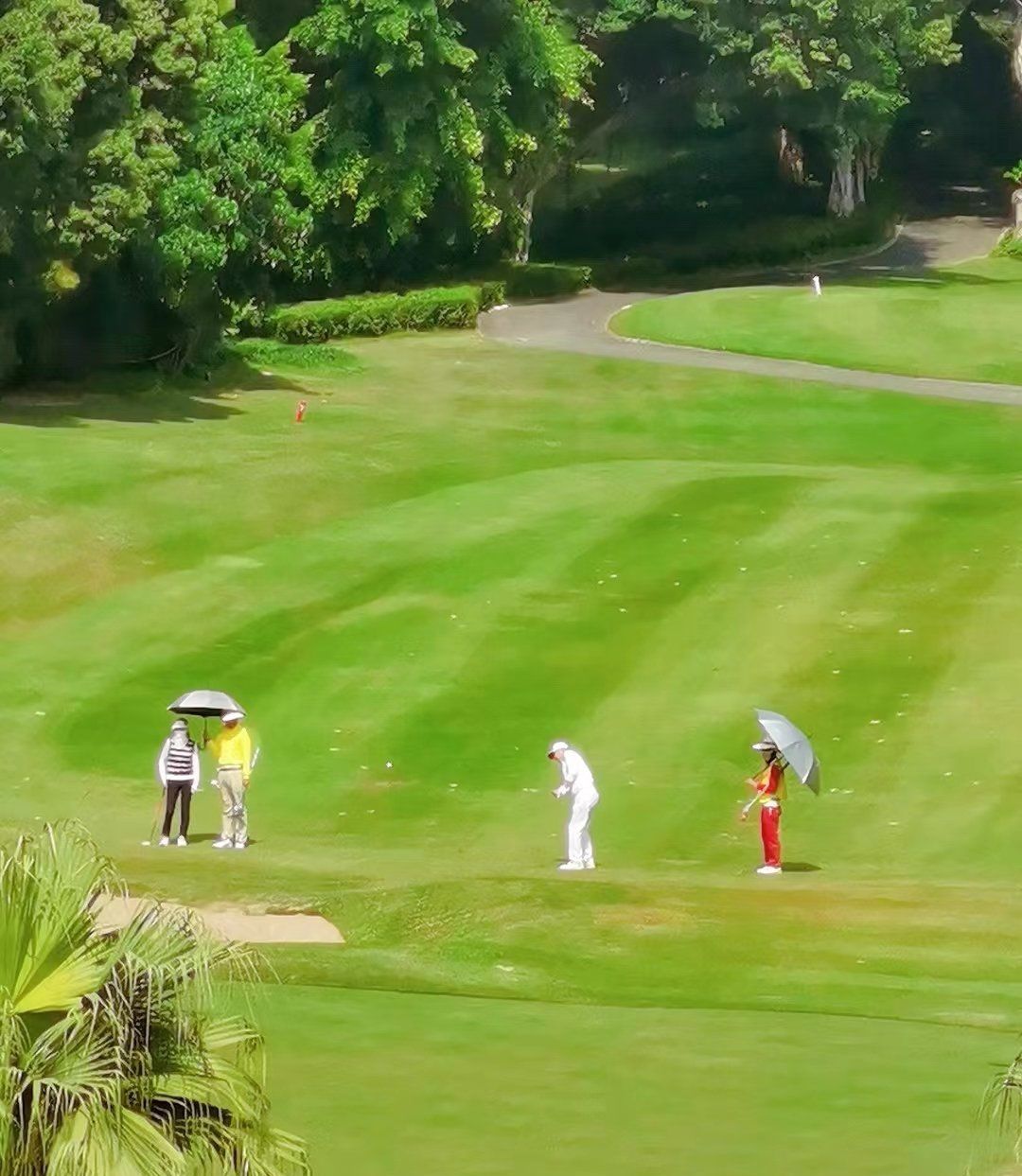 场地封面-观澜湖会所