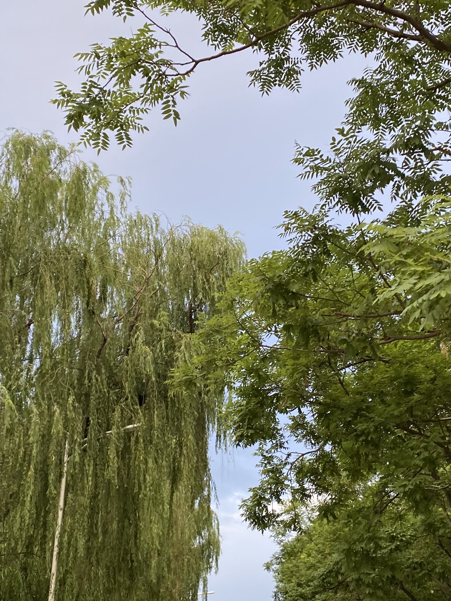 昌盛公园旅行图片 2