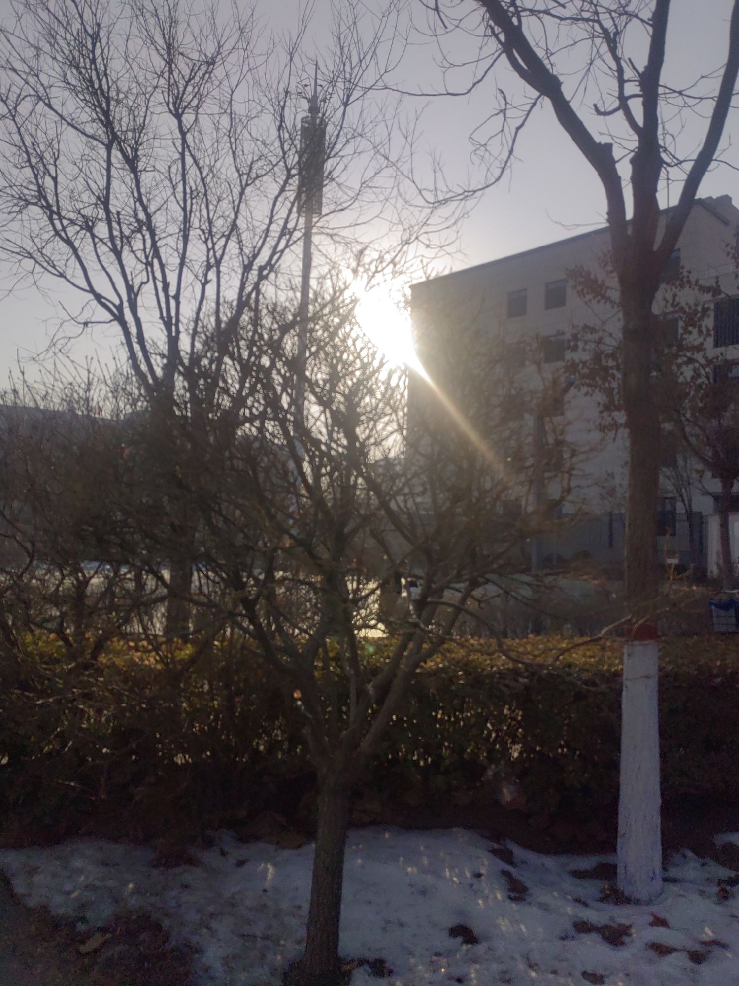 昌盛公园旅行图片 1