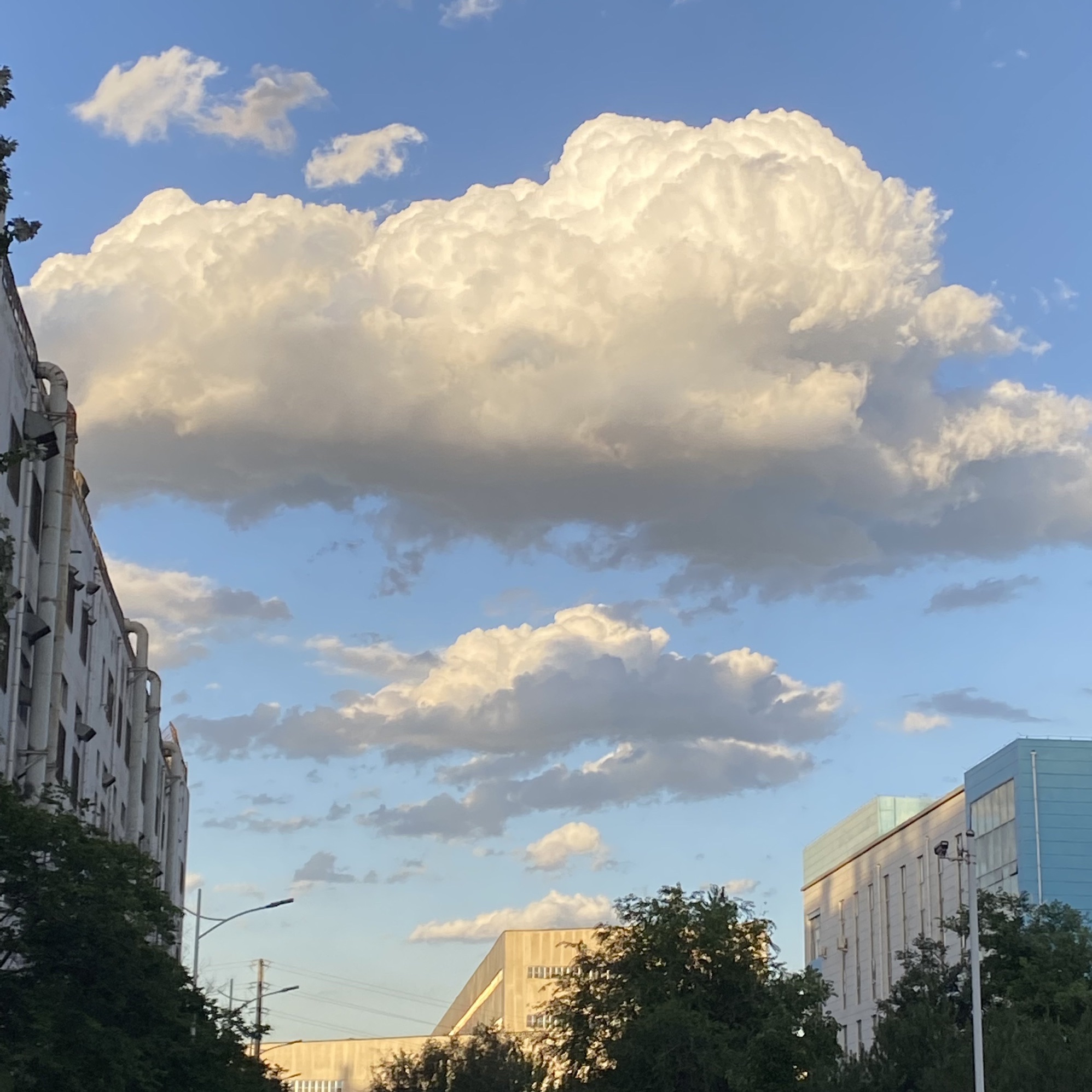 昌盛公园旅行图片 1