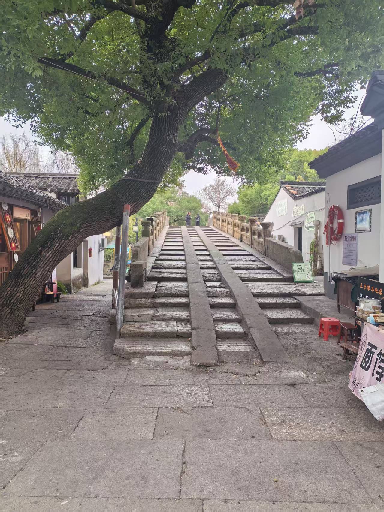 八字桥乌篷船码头旅行图片 3
