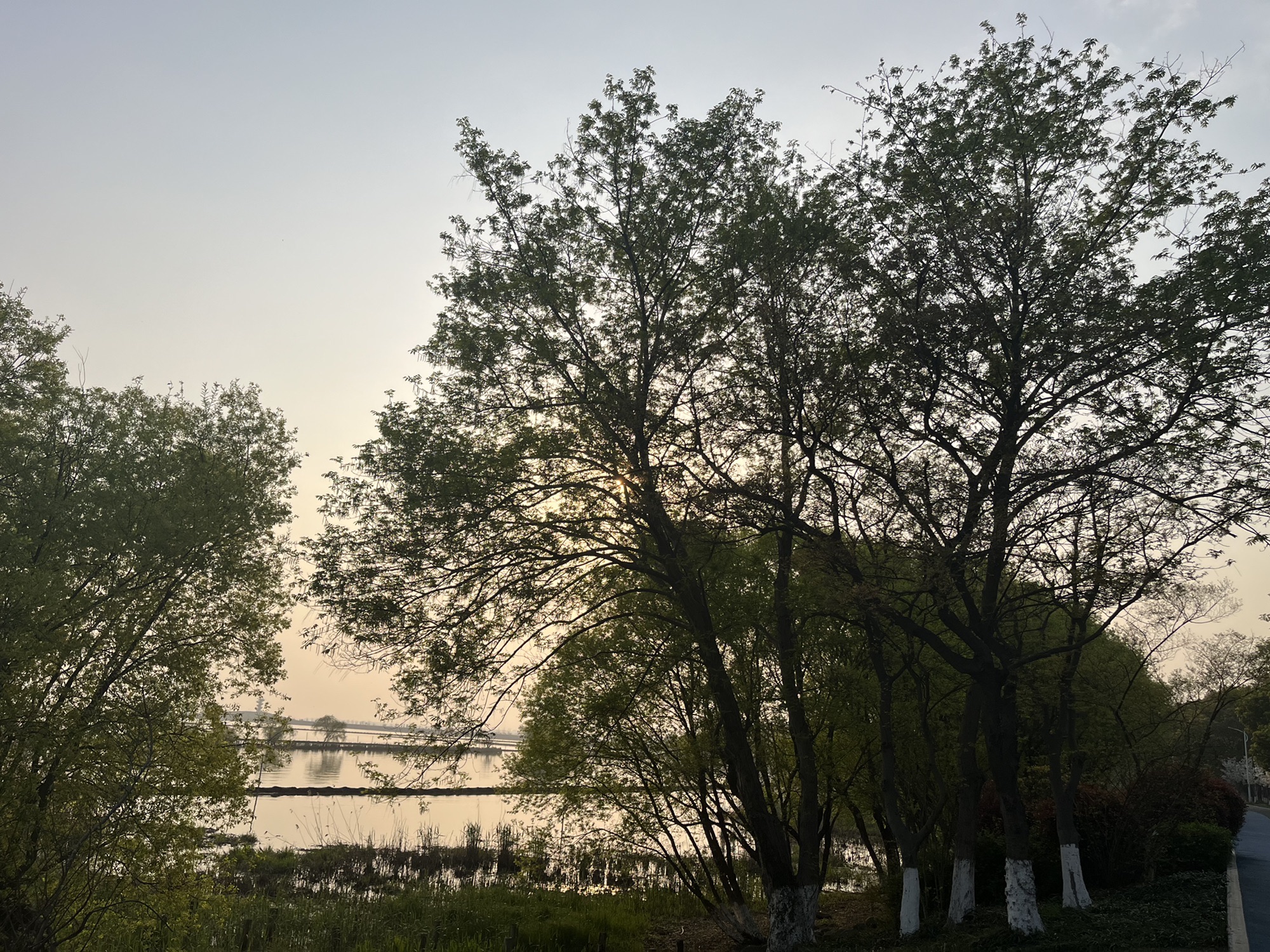 大溪港湿地公园旅行图片 3