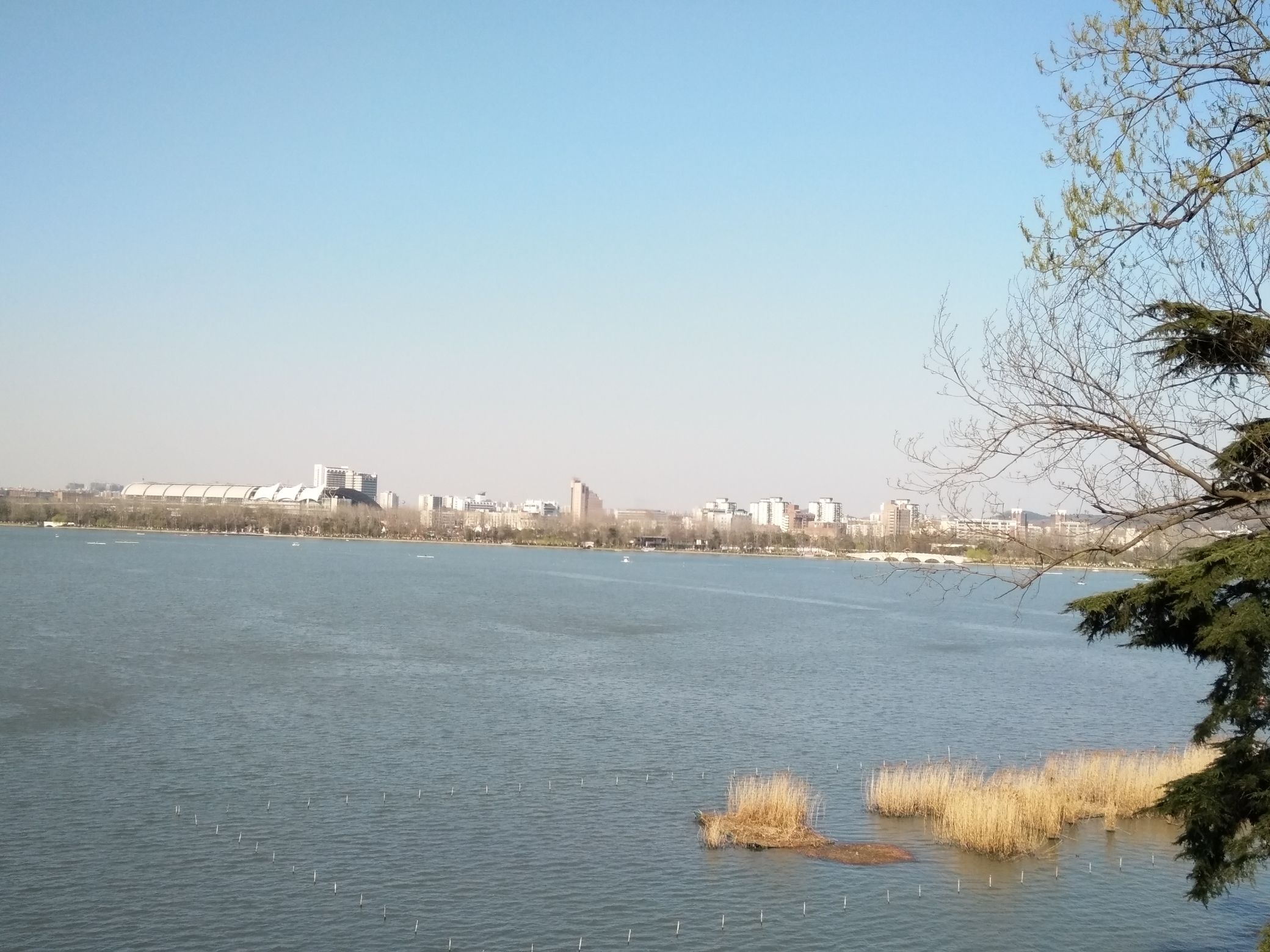 大溪港湿地公园旅行图片 2