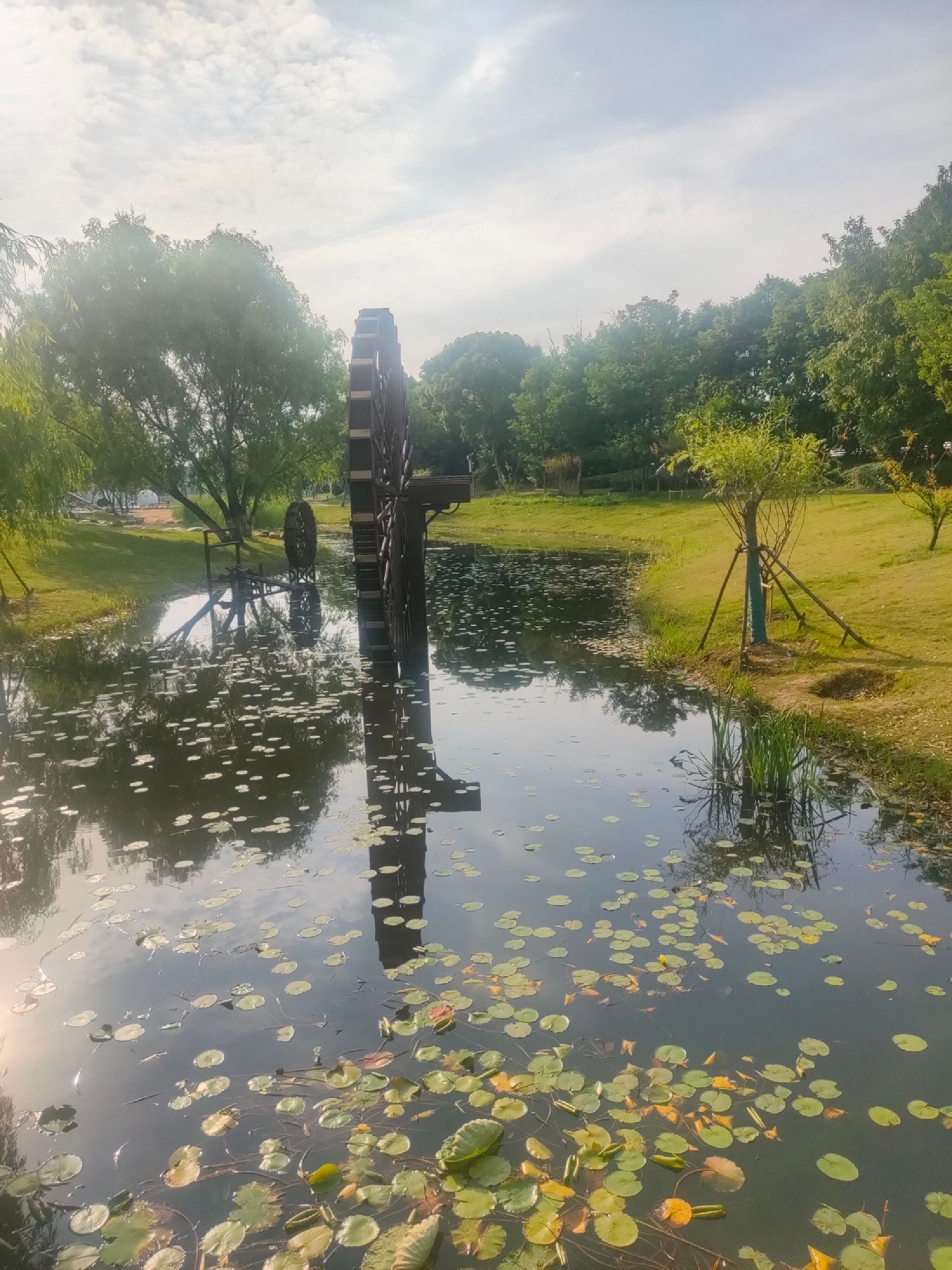 大溪港湿地公园旅行图片 1