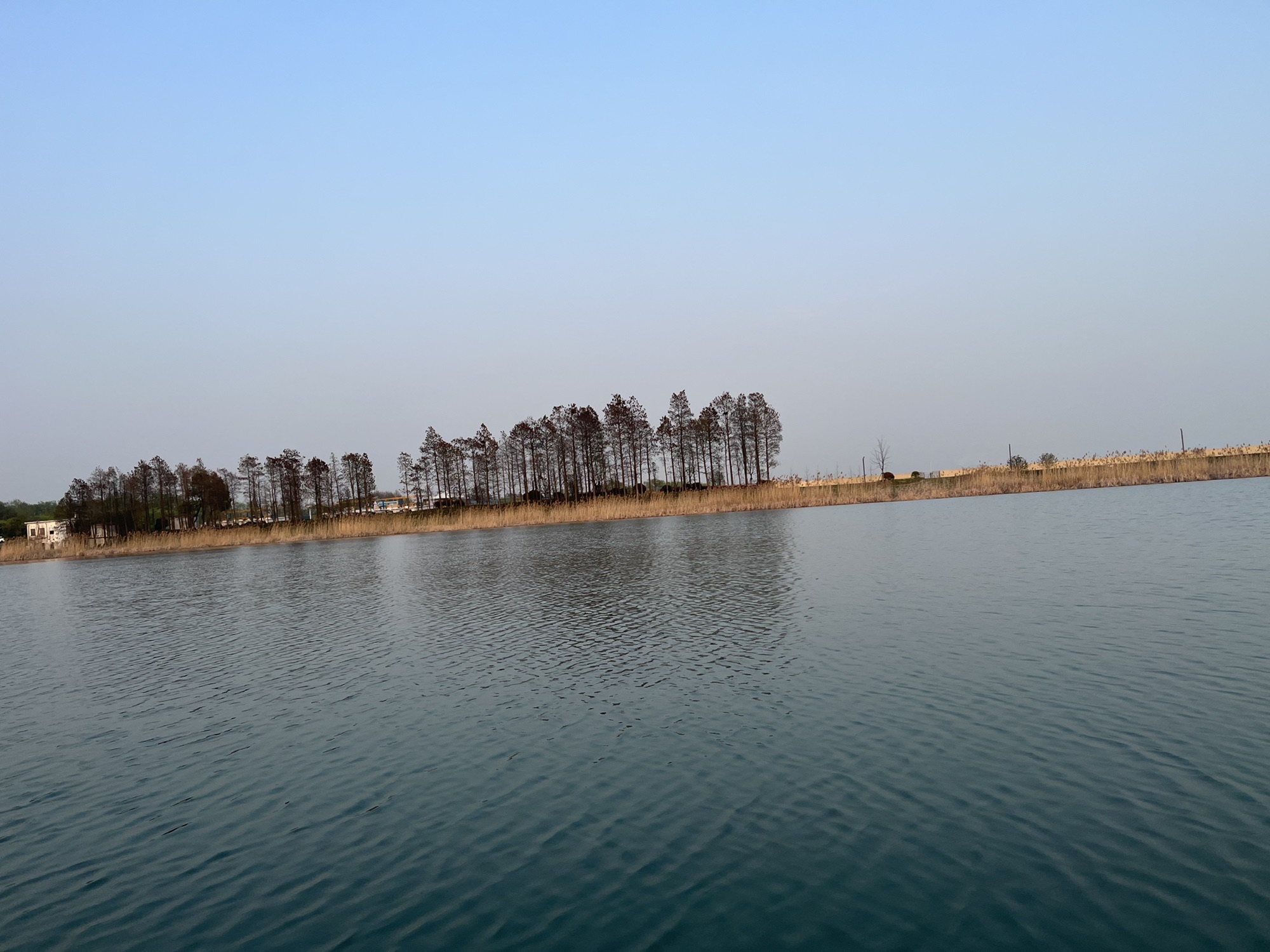 大溪港湿地公园旅行图片 2